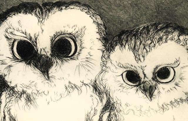 Original Christine McGinnis "Three Owls" Etching