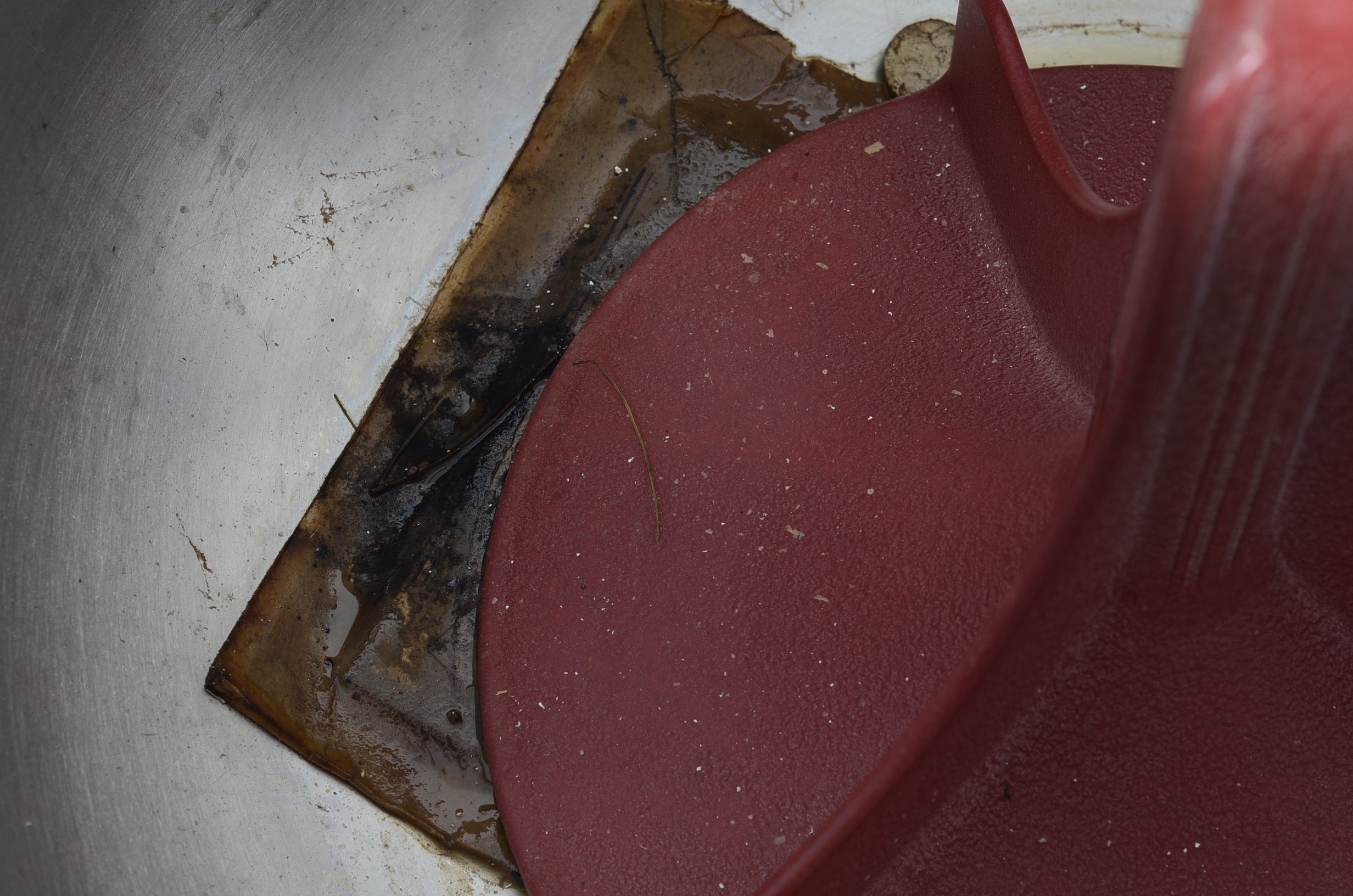 Vintage Speed Queen Model 90 Wringer Washer