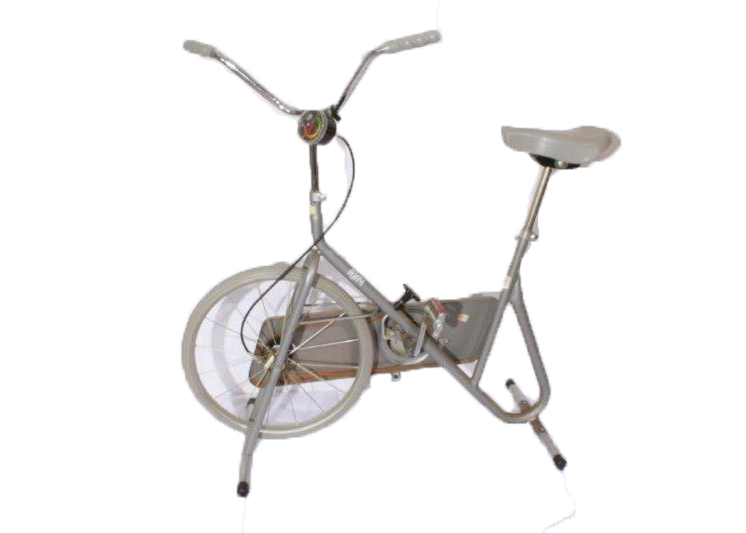 Ajay exercise bike store