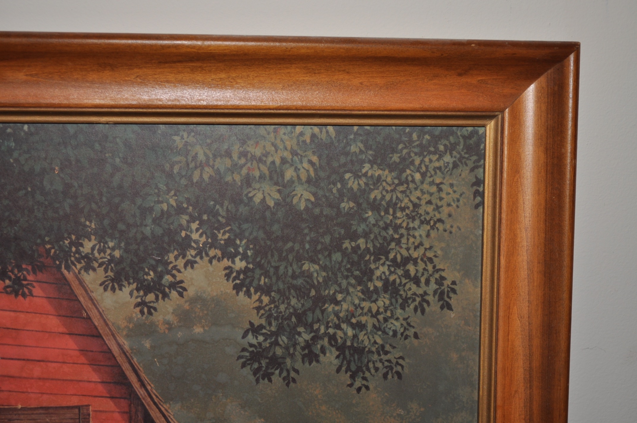 Country Scene and Coons Framed Lithographs