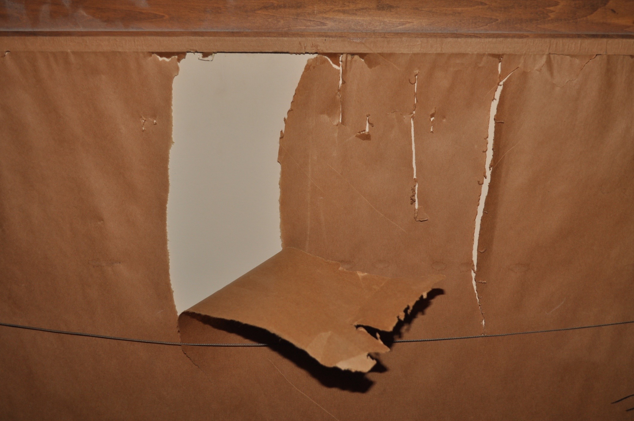 Country Scene and Coons Framed Lithographs