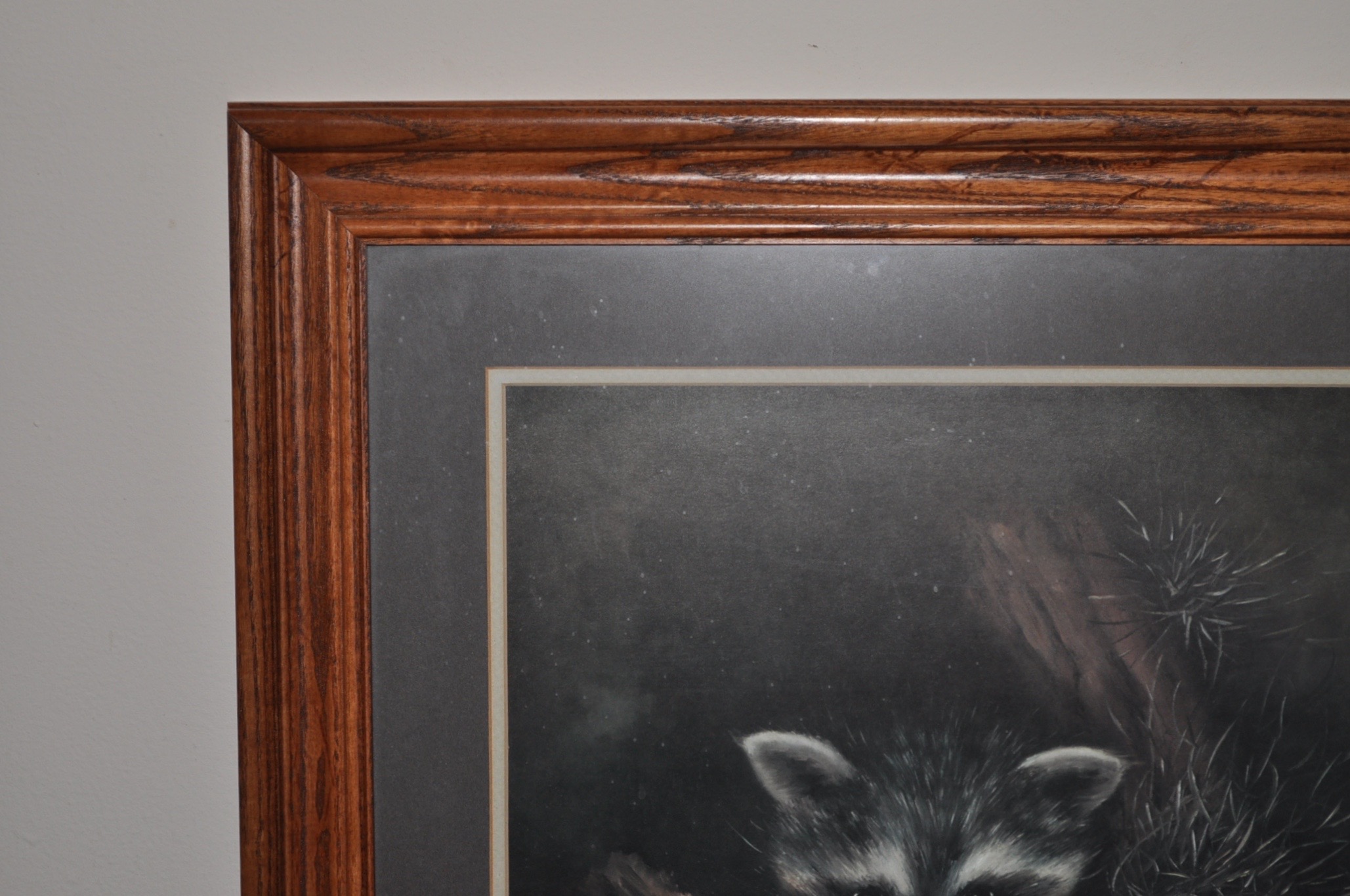 Country Scene and Coons Framed Lithographs