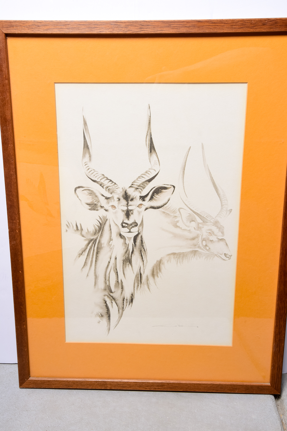 Collection of Framed Art