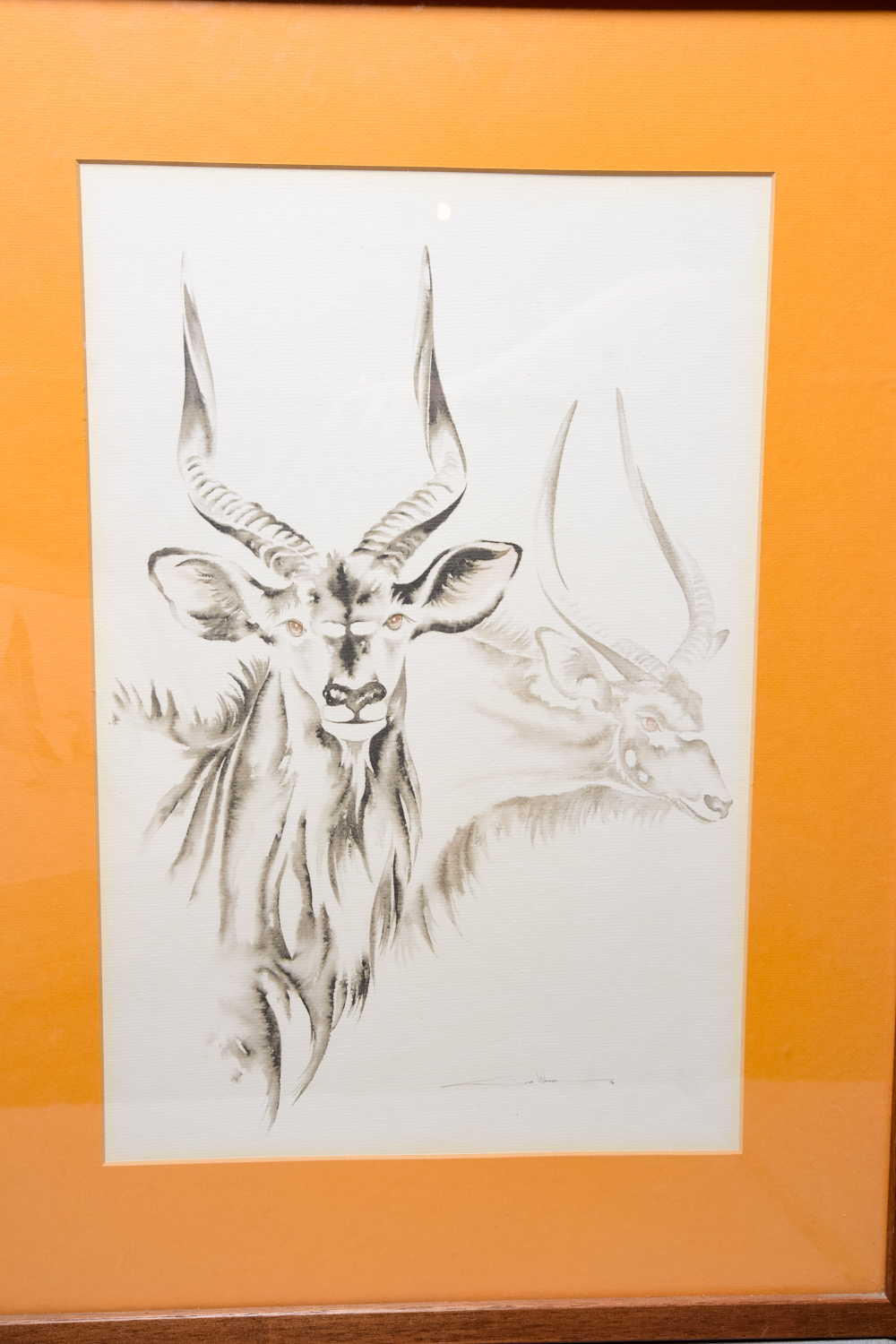 Collection of Framed Art