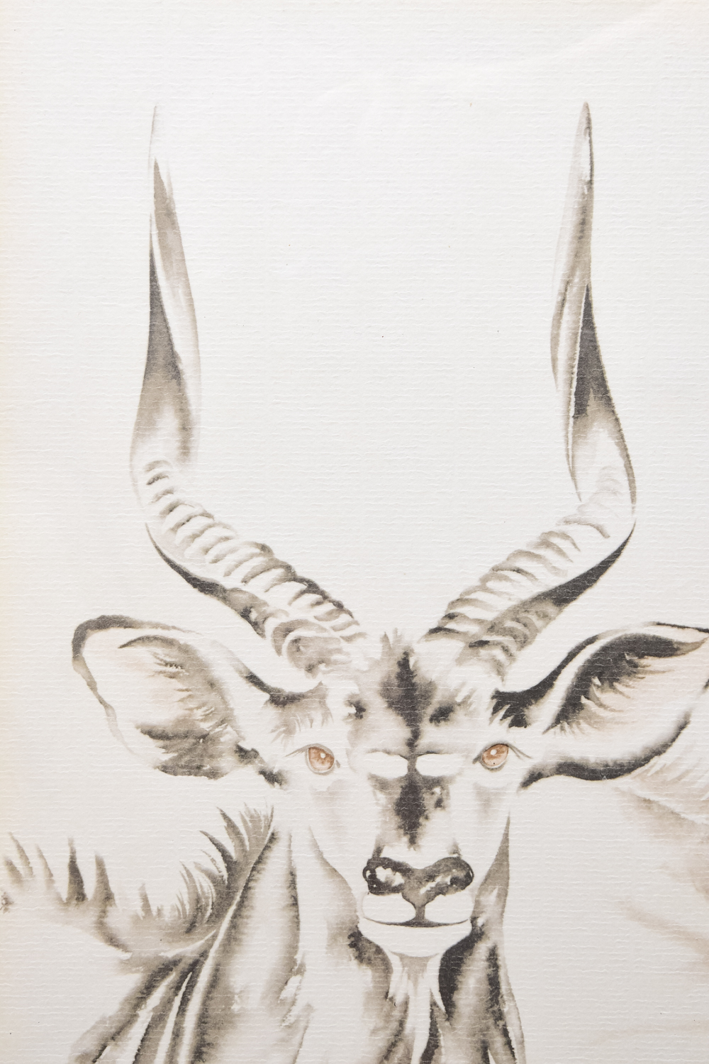 Collection of Framed Art