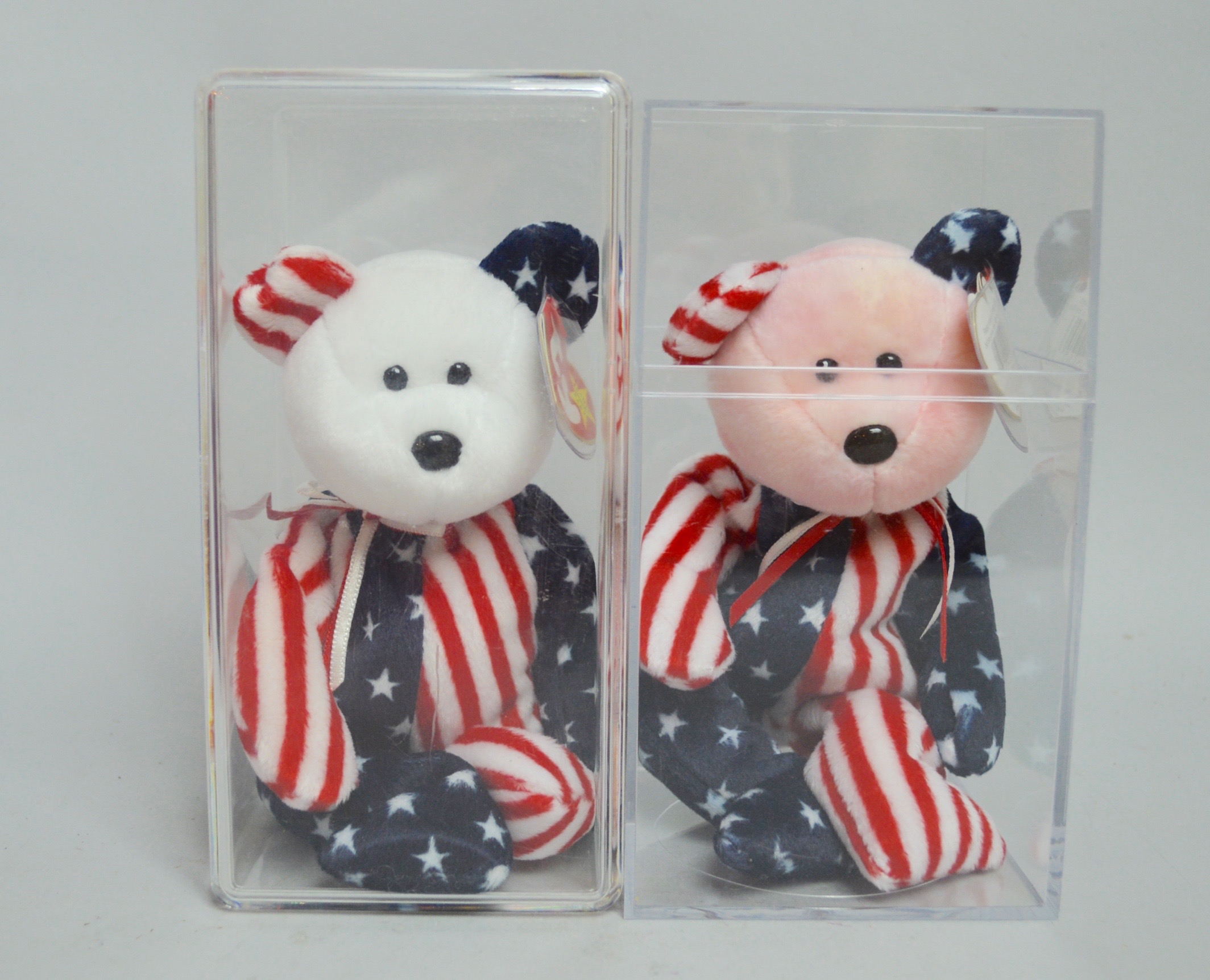 Beanie Baby Collectibles in Plastic Cases