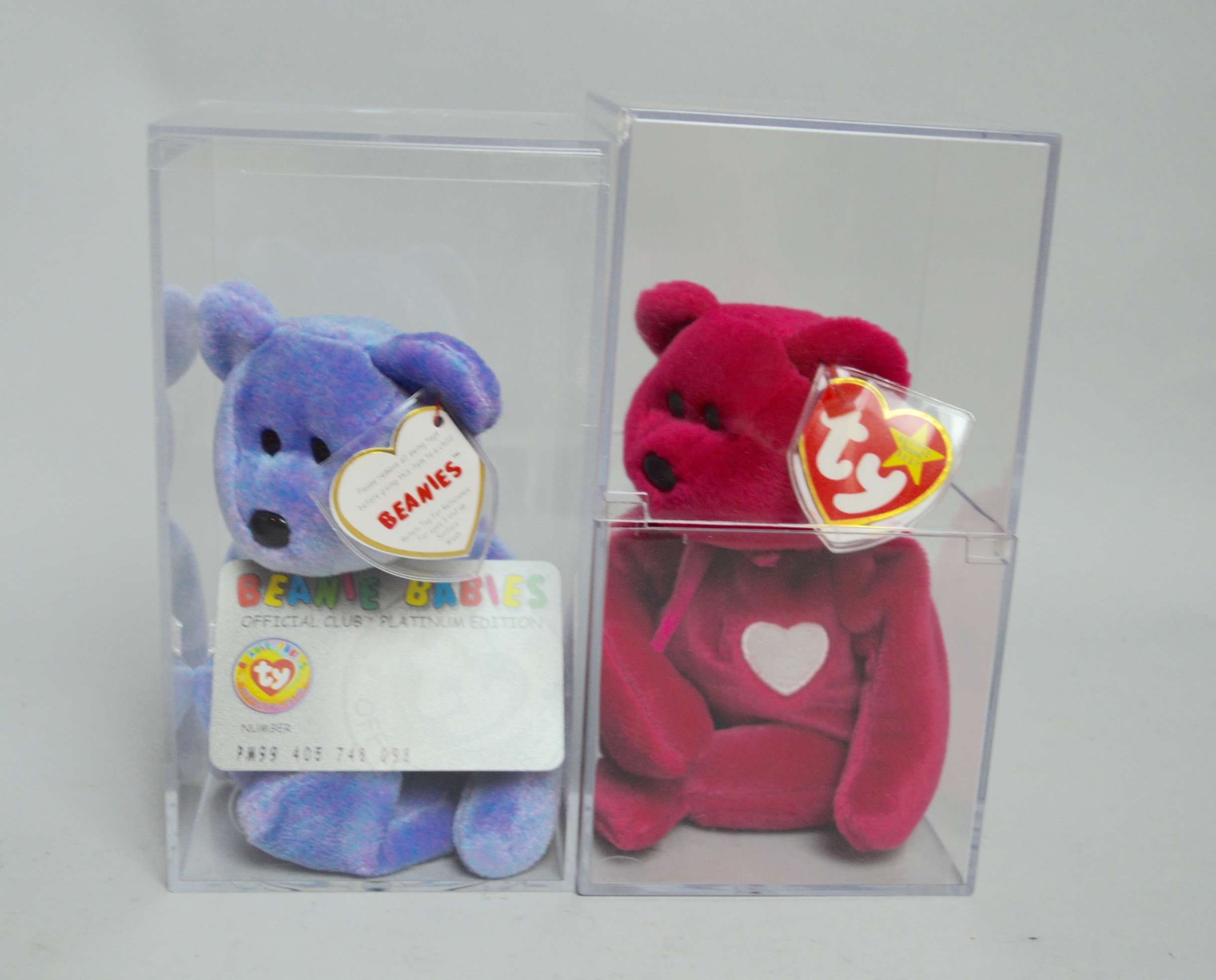 Beanie Baby Collectibles in Plastic Cases