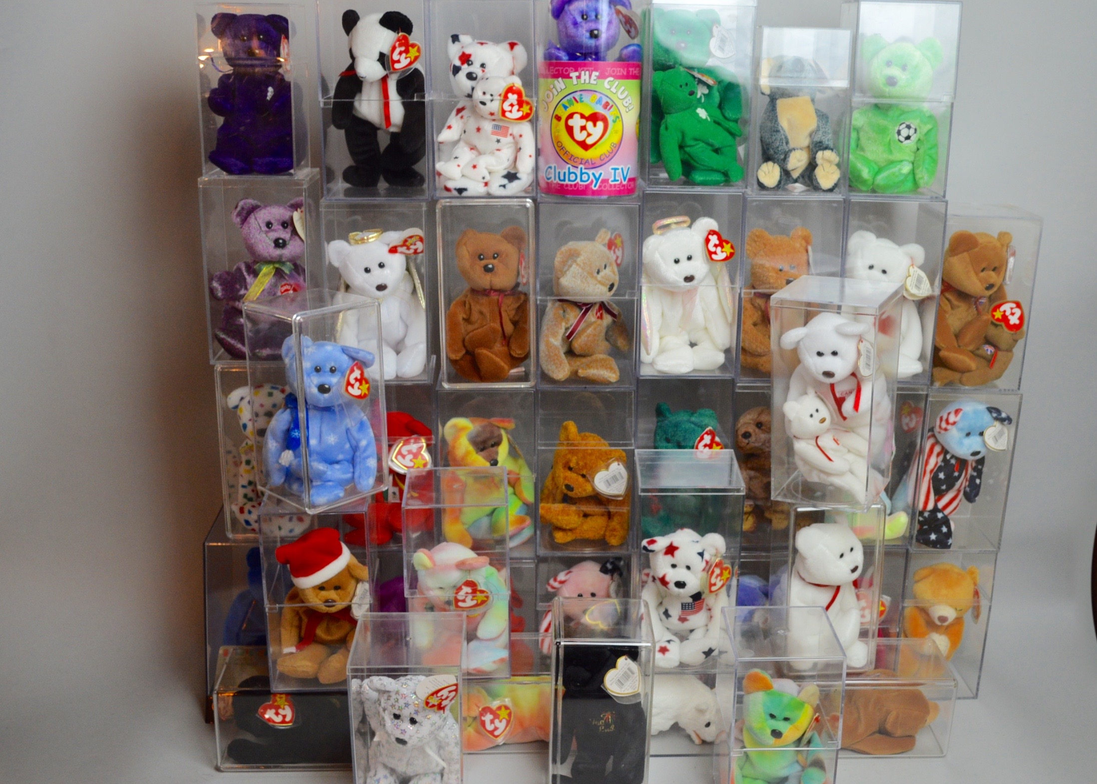 Beanie Baby Collectibles in Plastic Cases