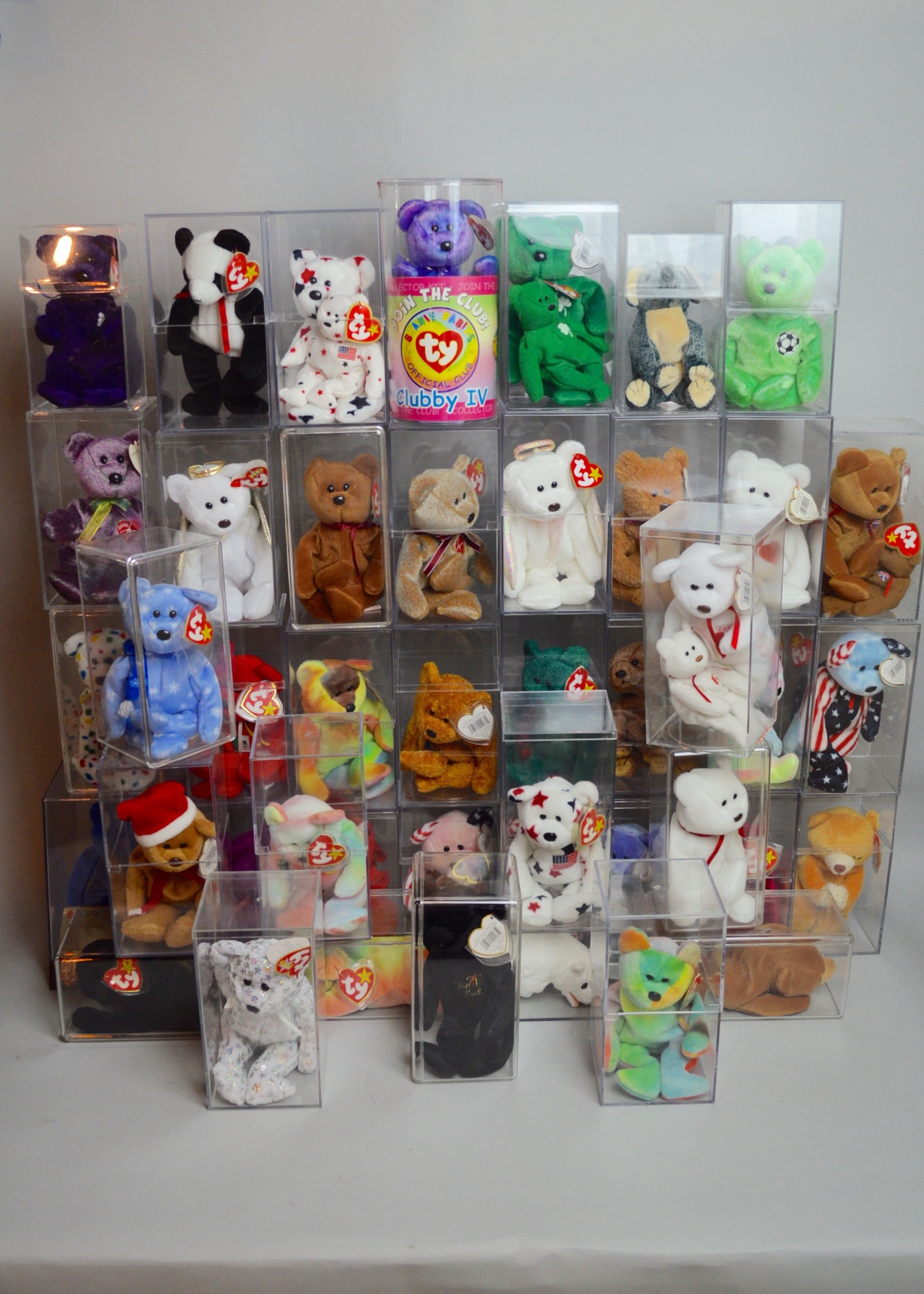 Beanie Baby Collectibles in Plastic Cases
