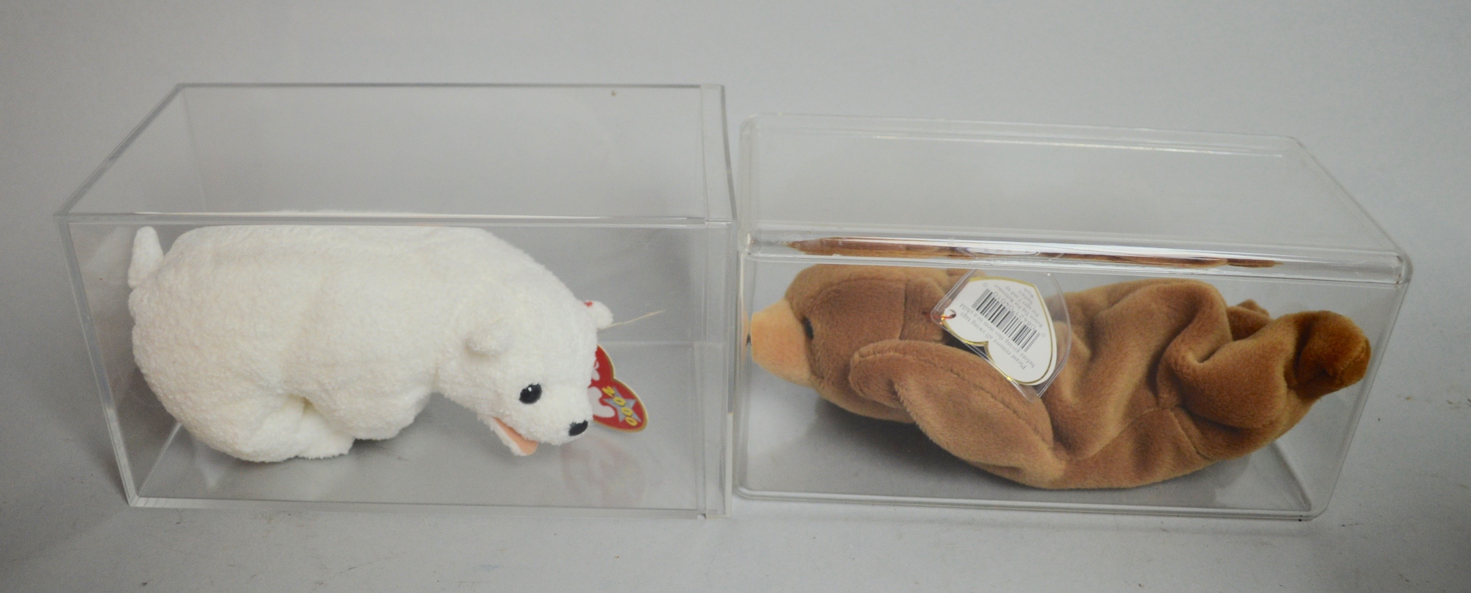 Beanie Baby Collectibles in Plastic Cases