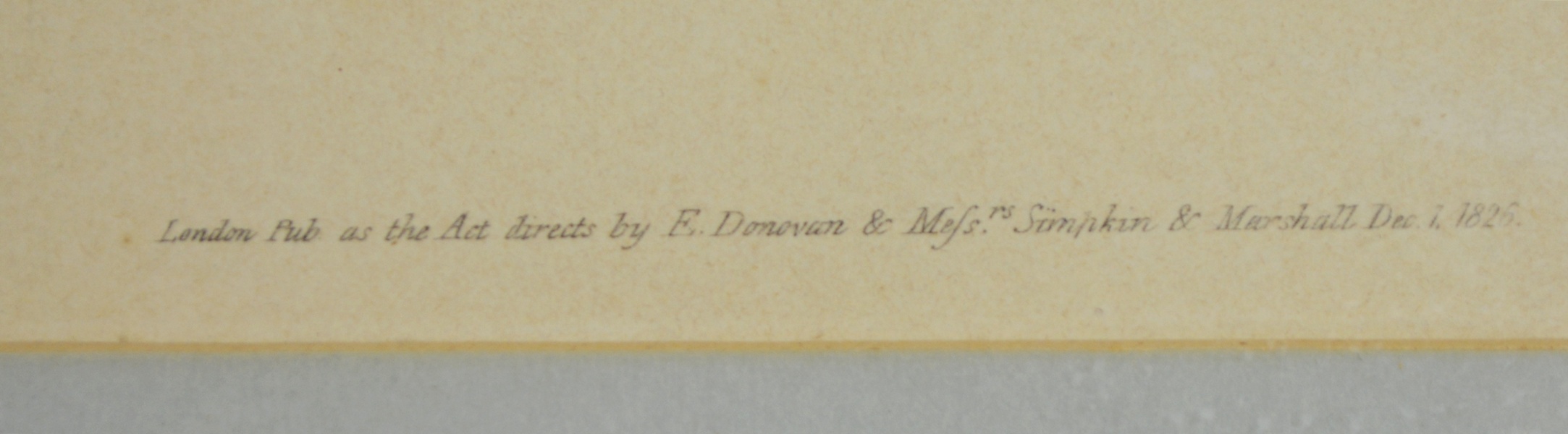 Edward Donovan's Shell Engravings, 1826