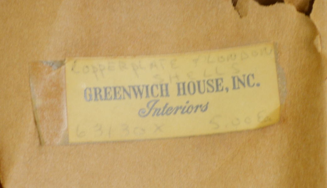 Edward Donovan's Shell Engravings, 1826