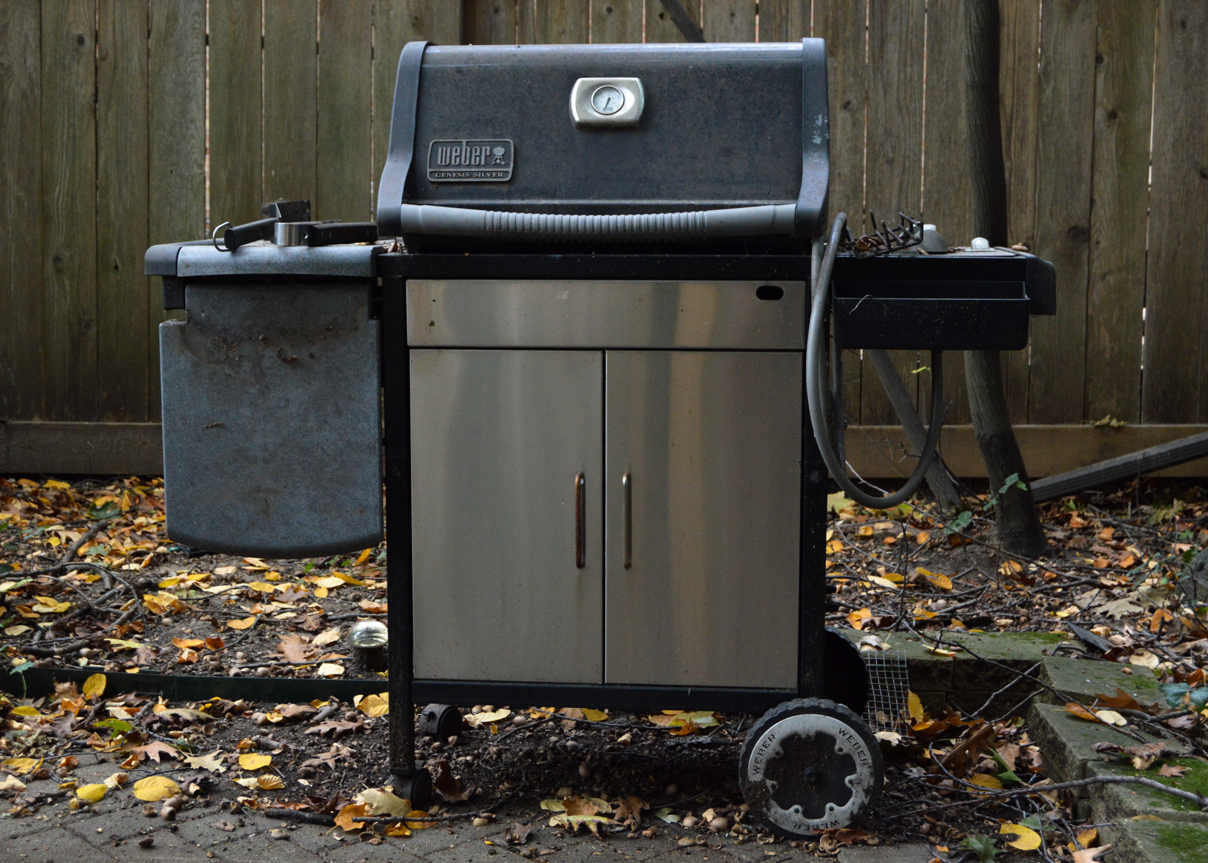 Weber Genesis Silver Gas Grill