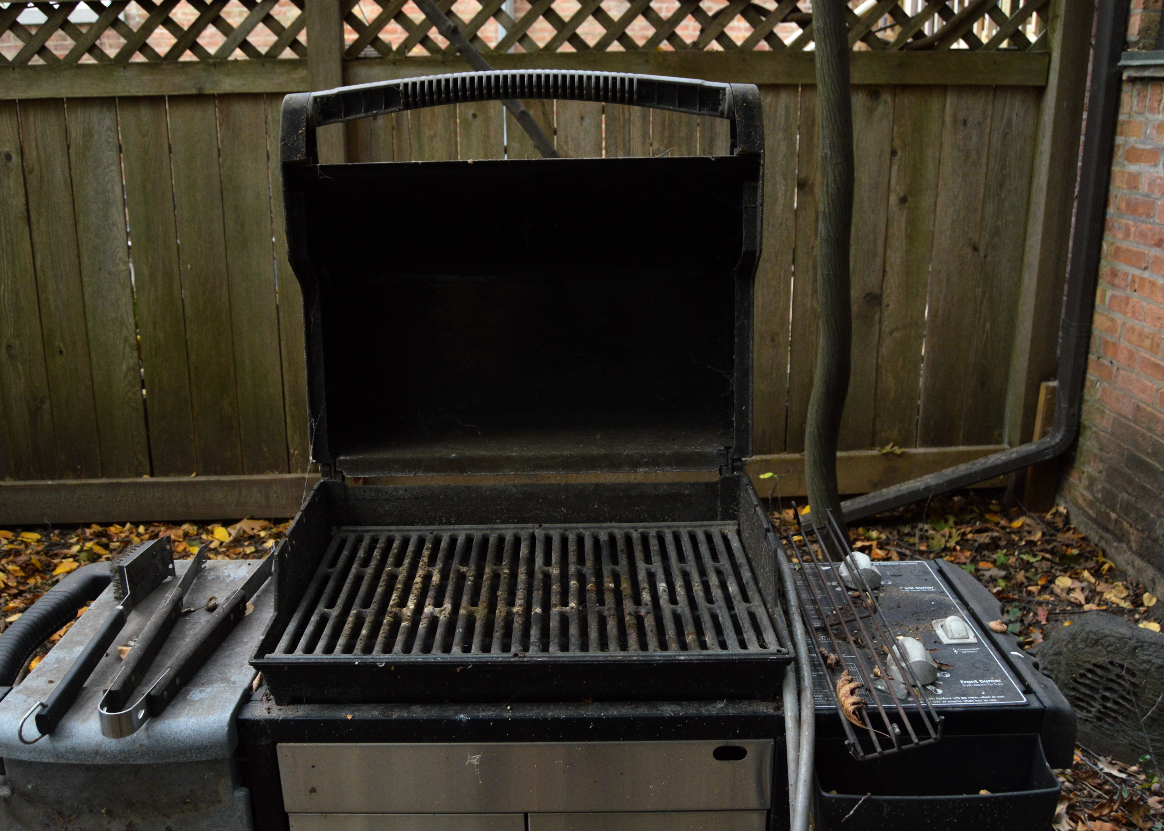 Weber Genesis Silver Gas Grill
