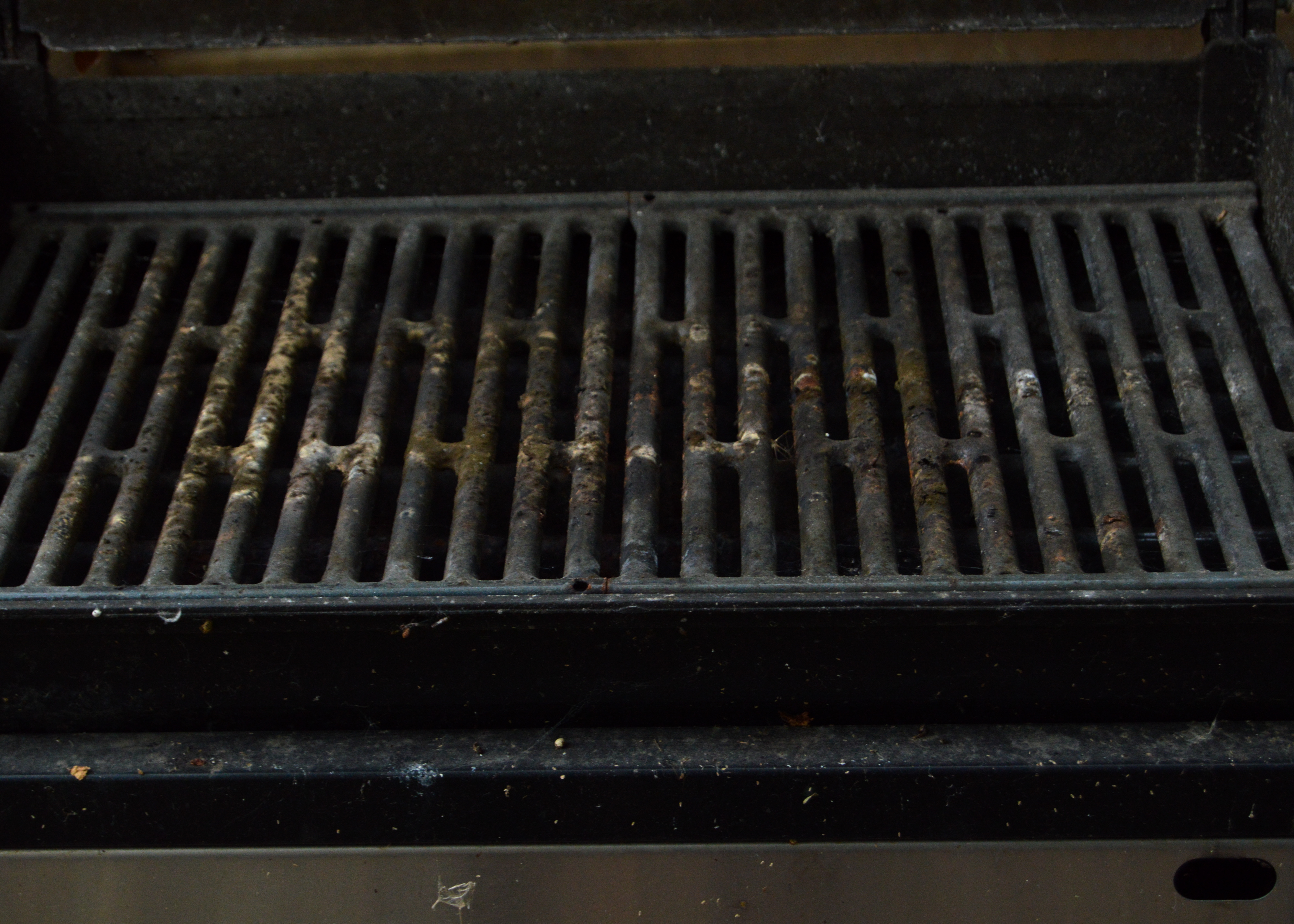 Weber Genesis Silver Gas Grill