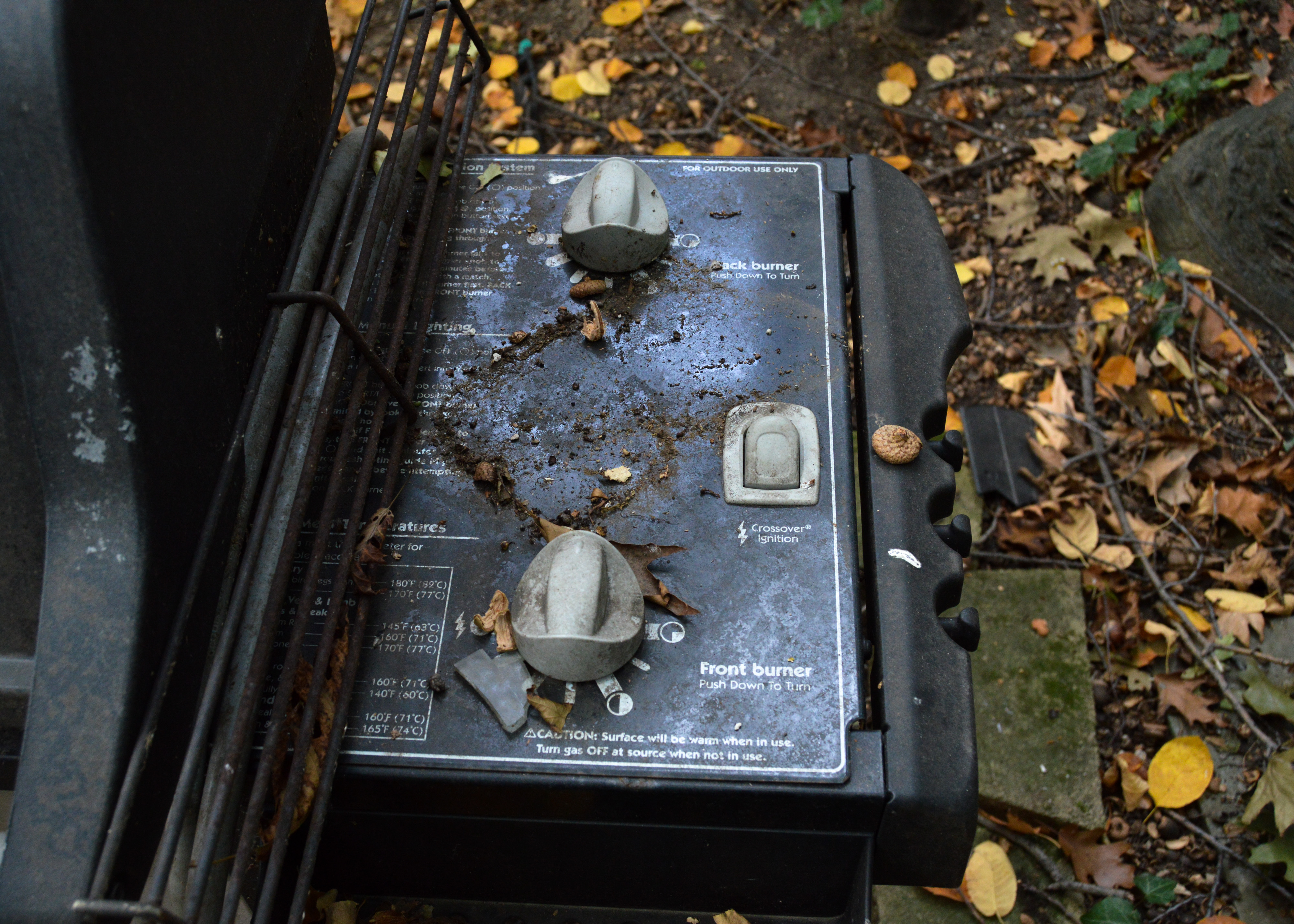 Weber Genesis Silver Gas Grill