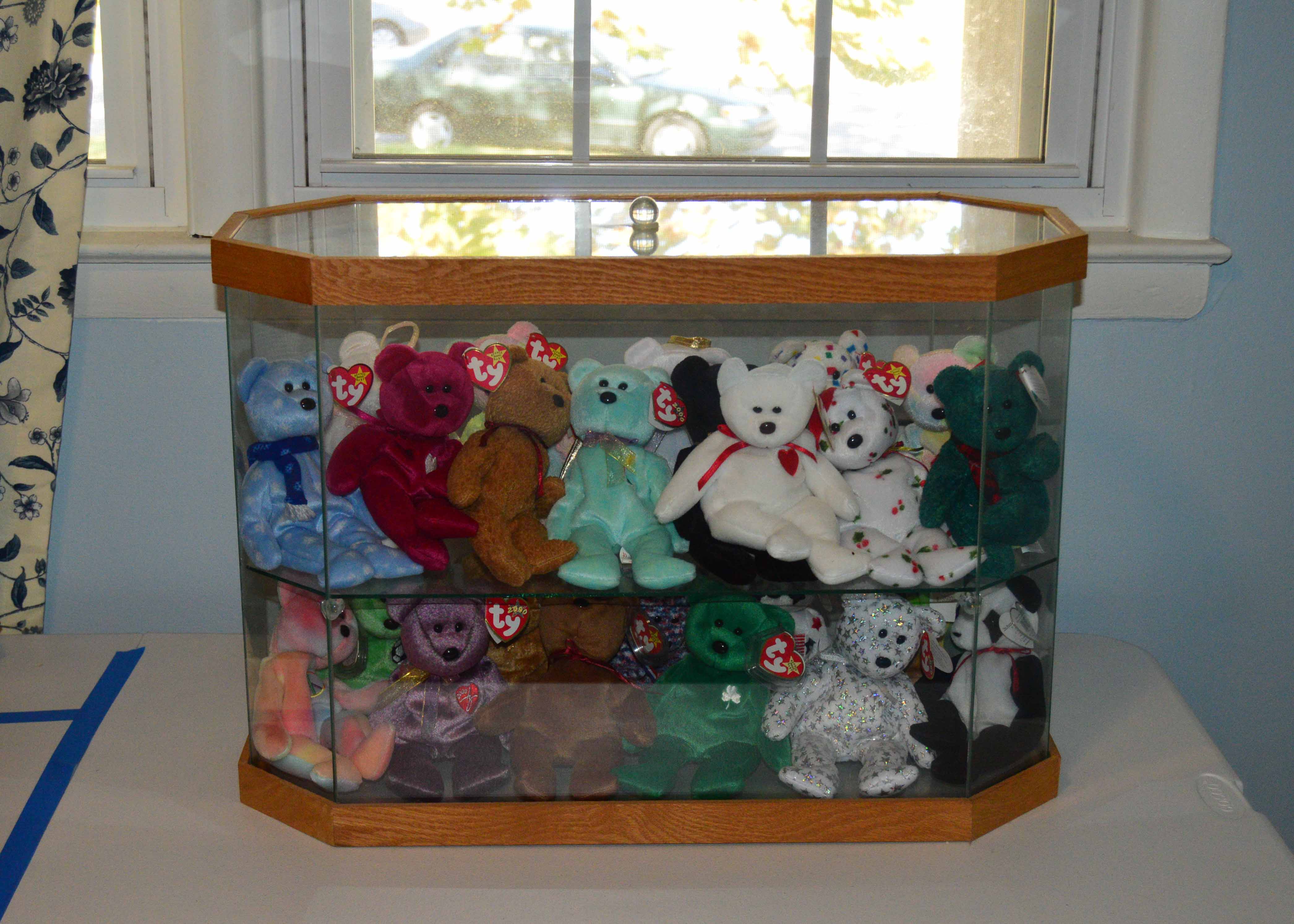 Display Case with Various Beanie Babies