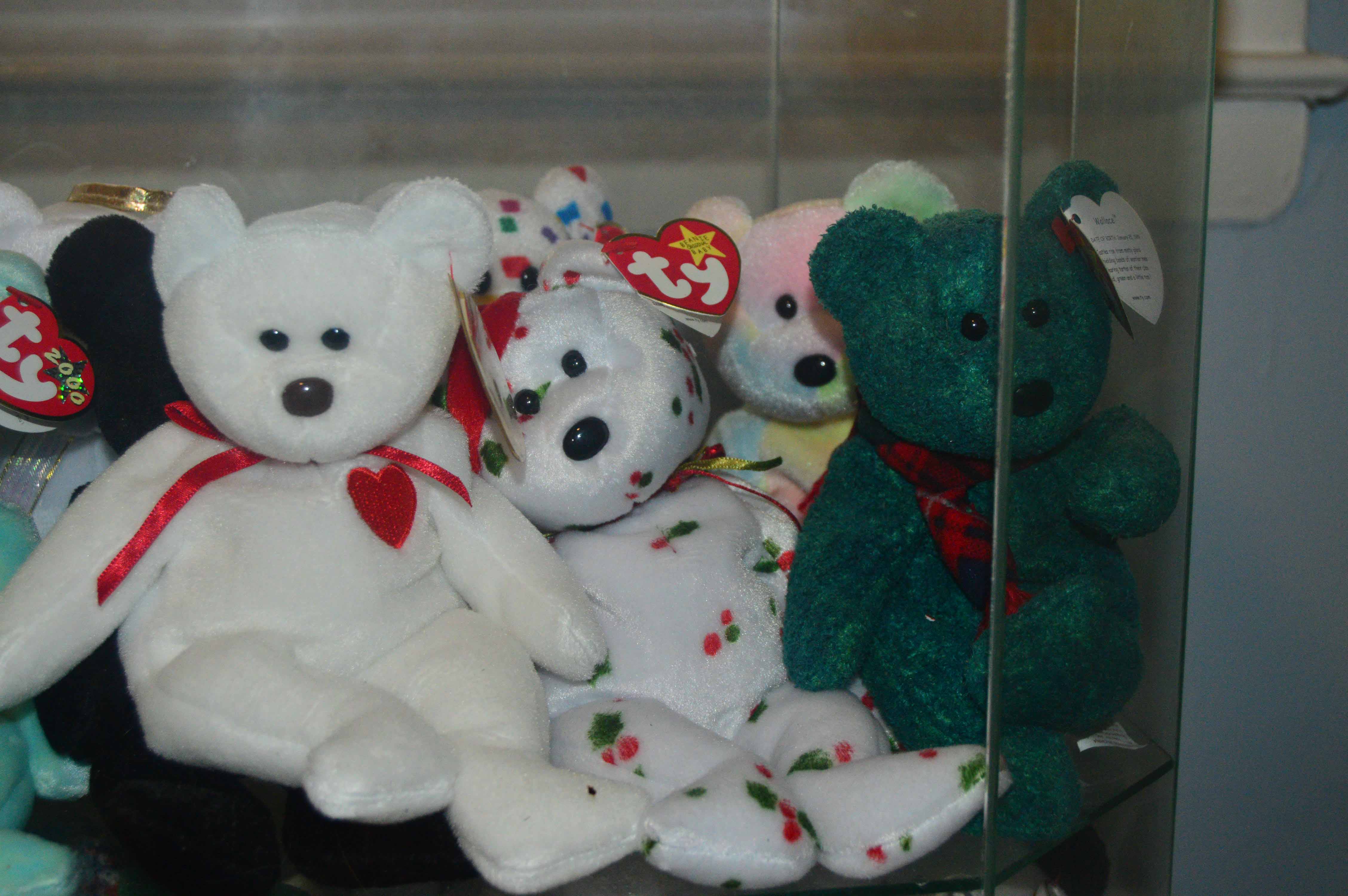 Display Case with Various Beanie Babies
