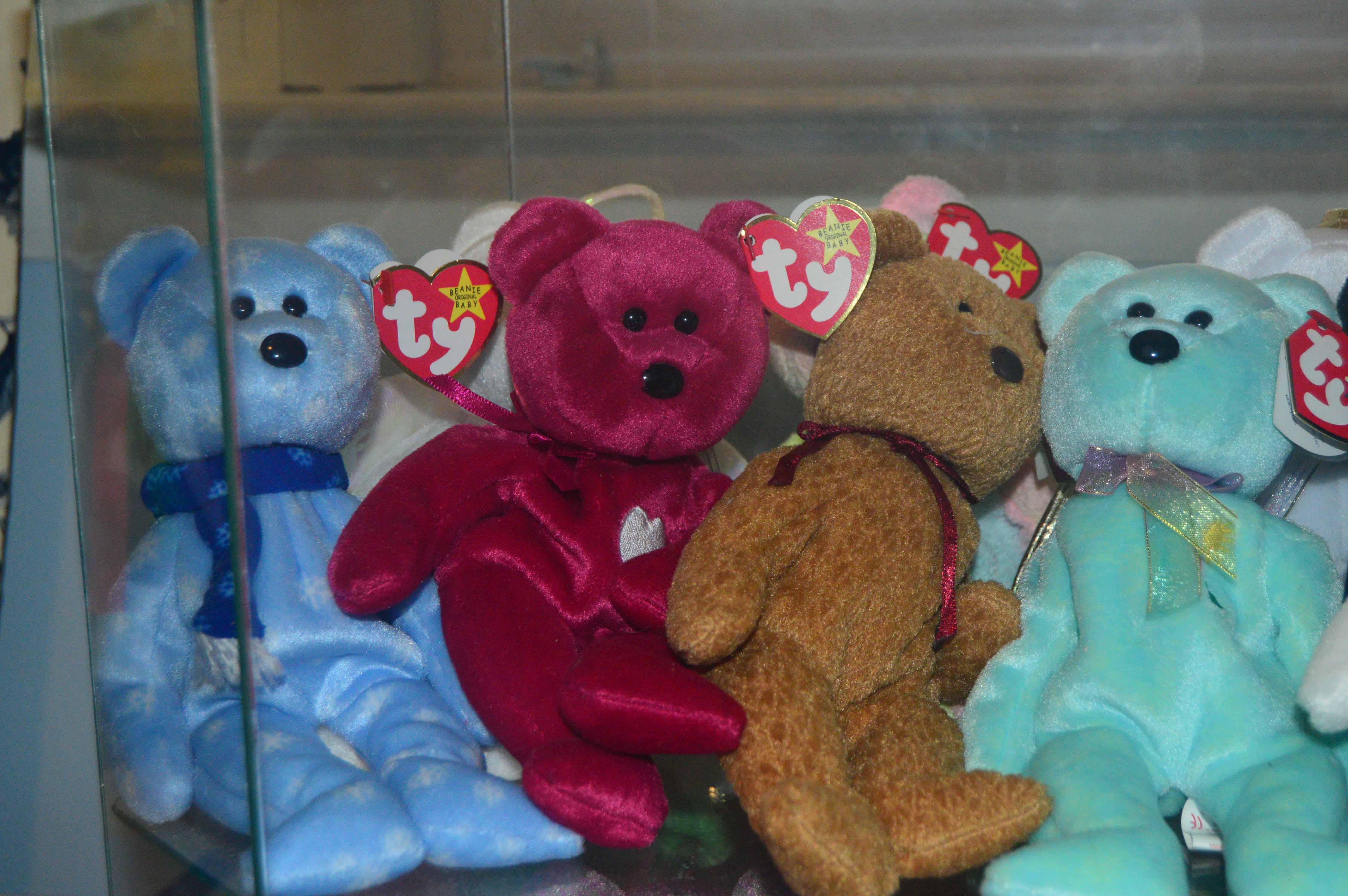 Display Case with Various Beanie Babies