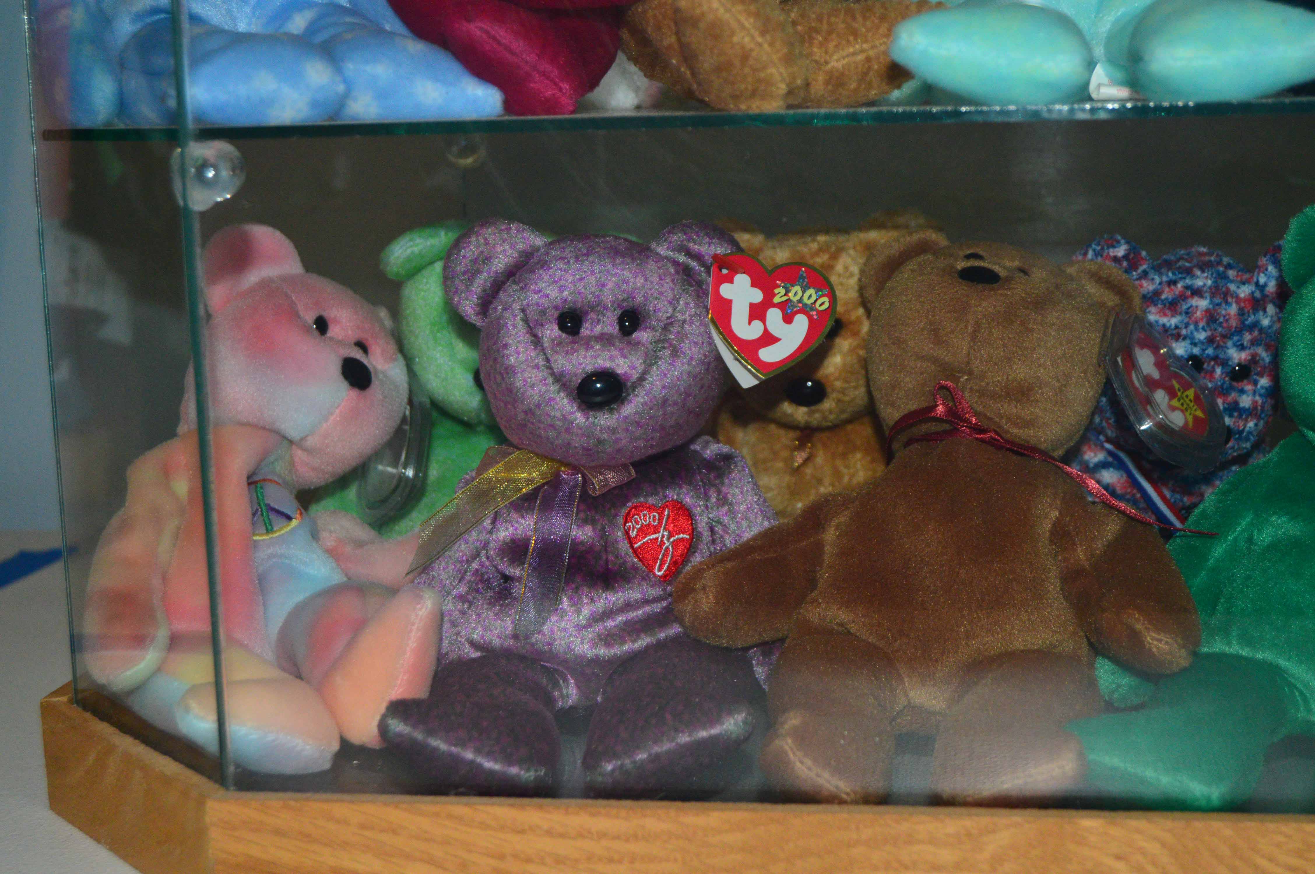 Display Case with Various Beanie Babies