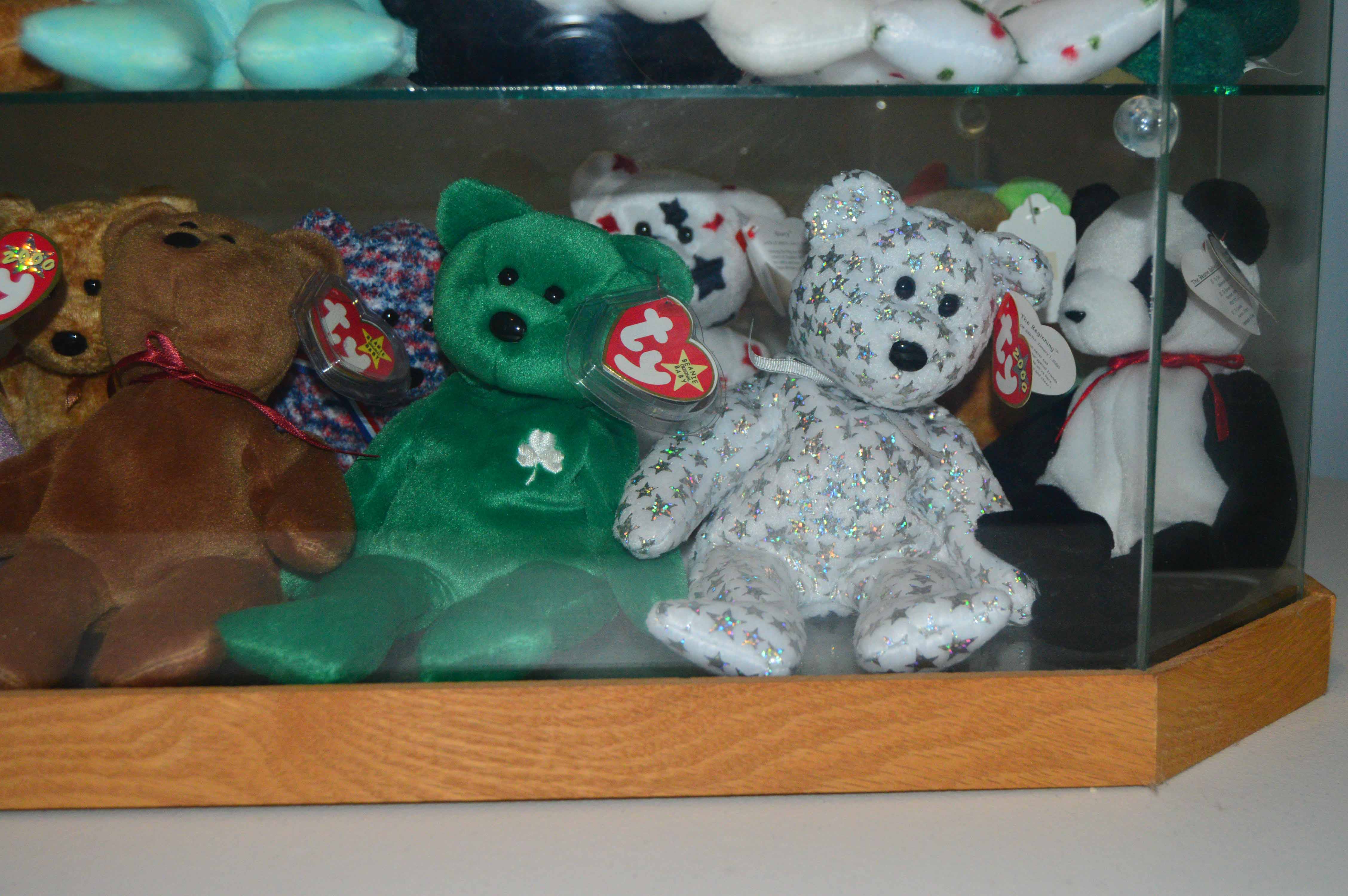 Display Case with Various Beanie Babies