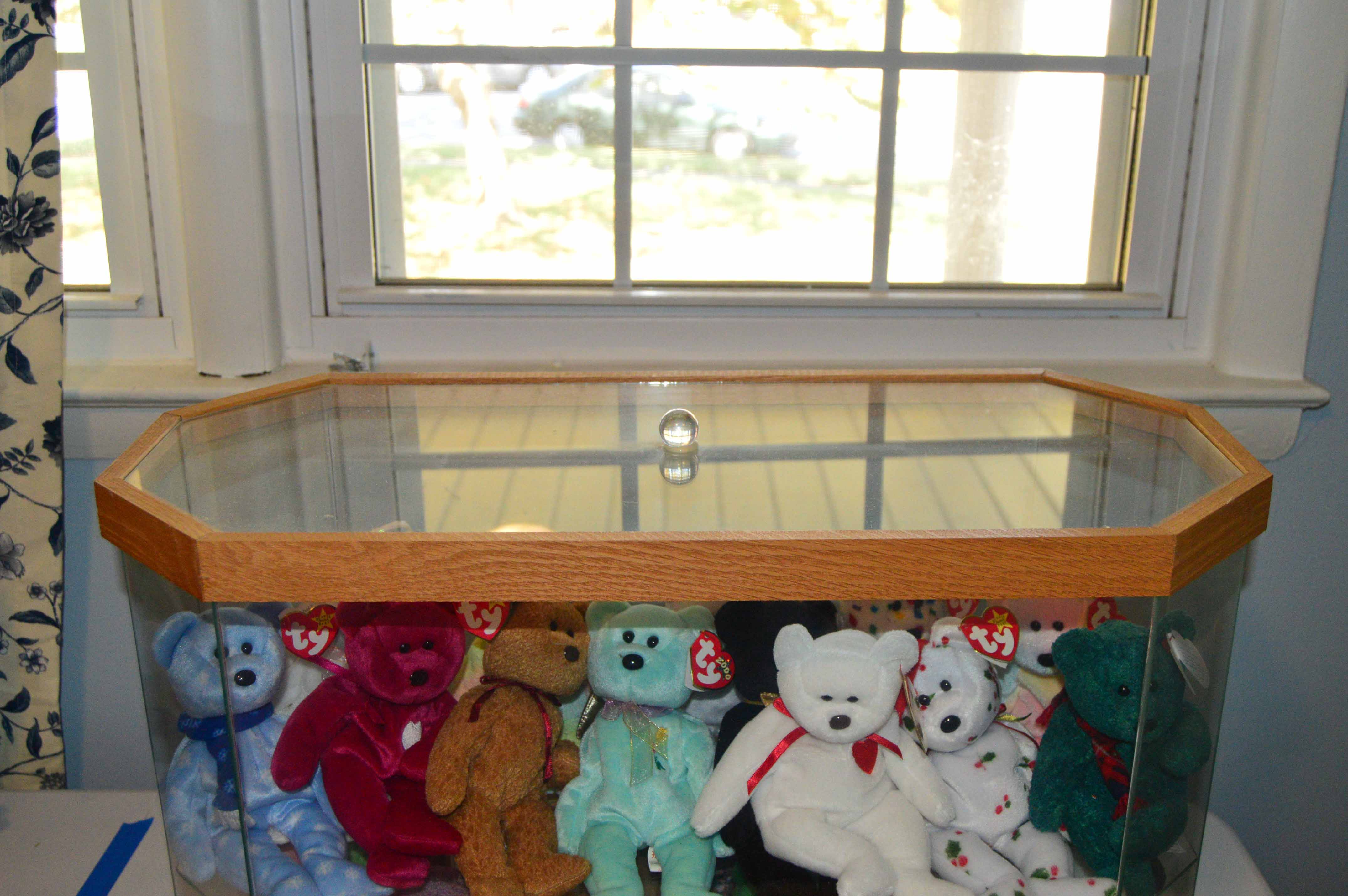 Display Case with Various Beanie Babies