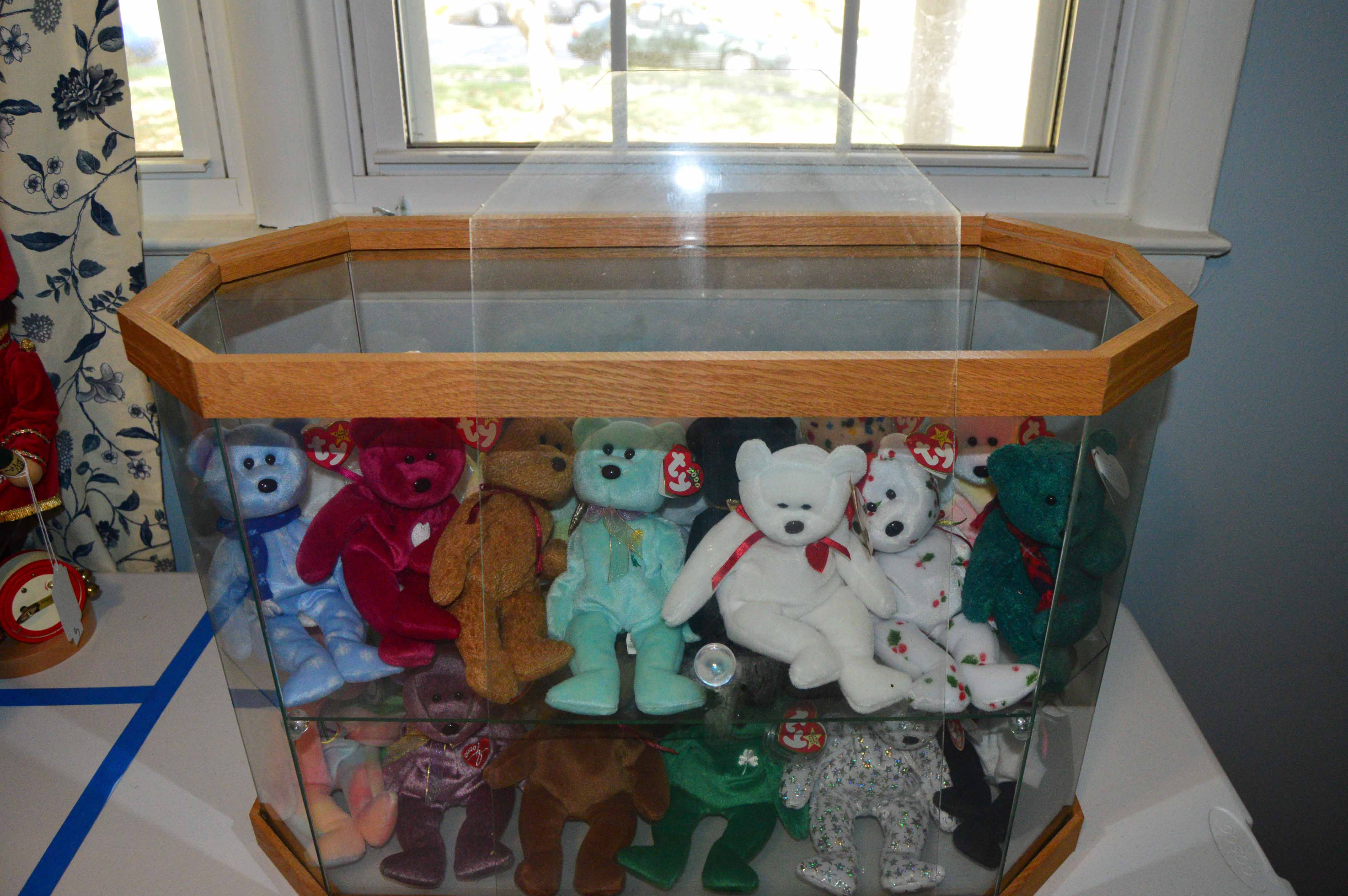 Display Case with Various Beanie Babies