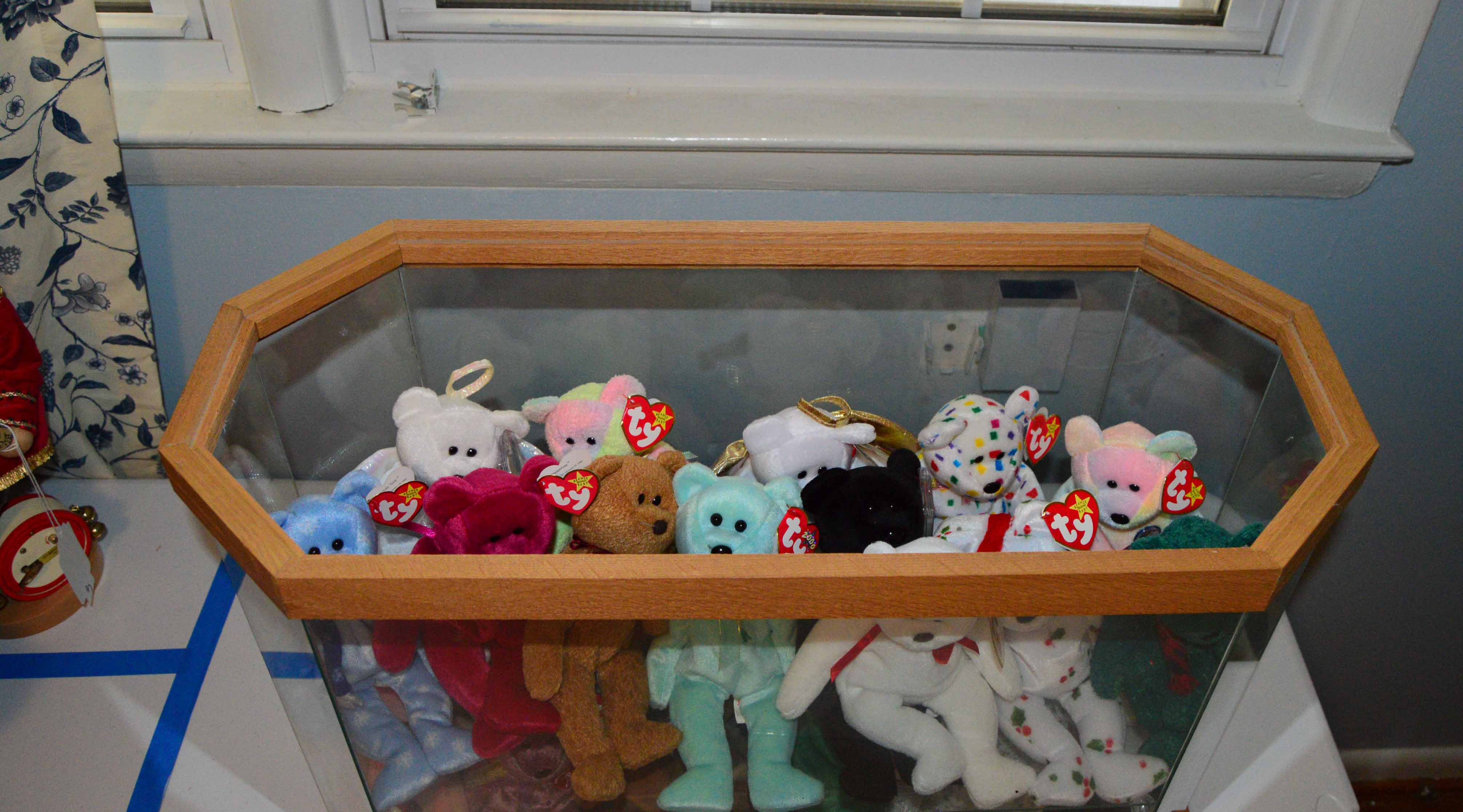 Display Case with Various Beanie Babies