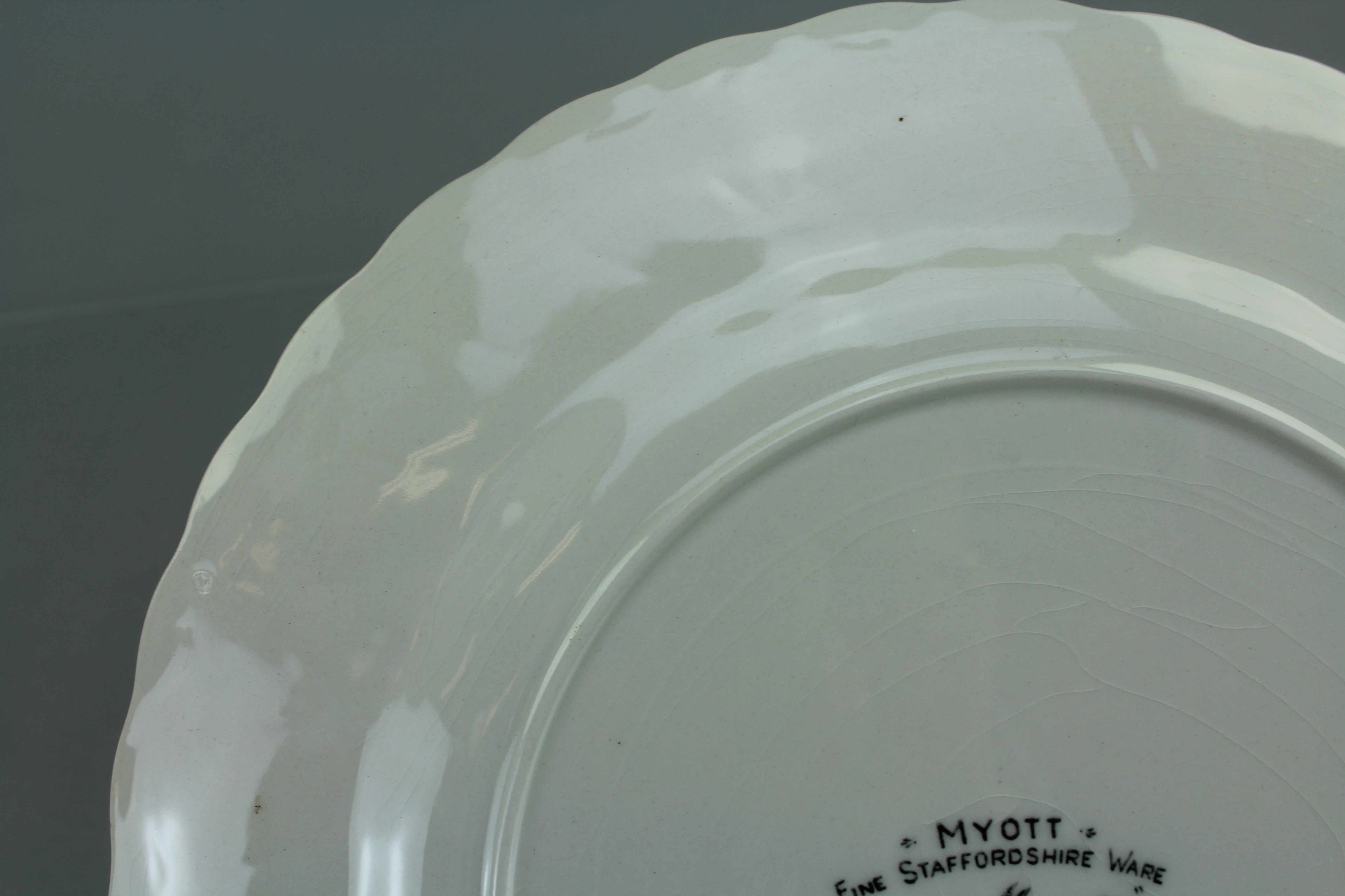 Myott Staffordshire Ware "Forget Me Not" China Set