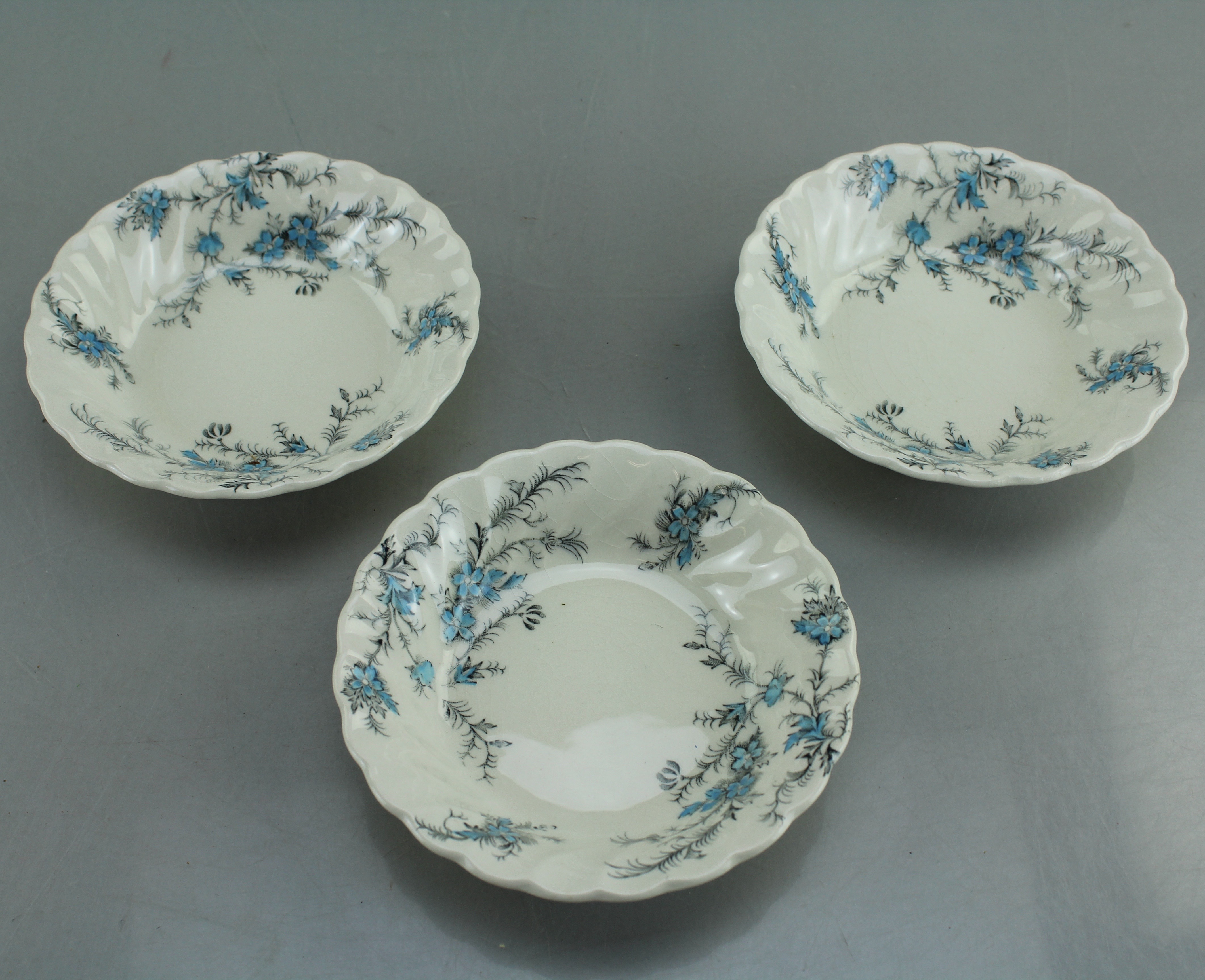 Myott Staffordshire Ware "Forget Me Not" China Set