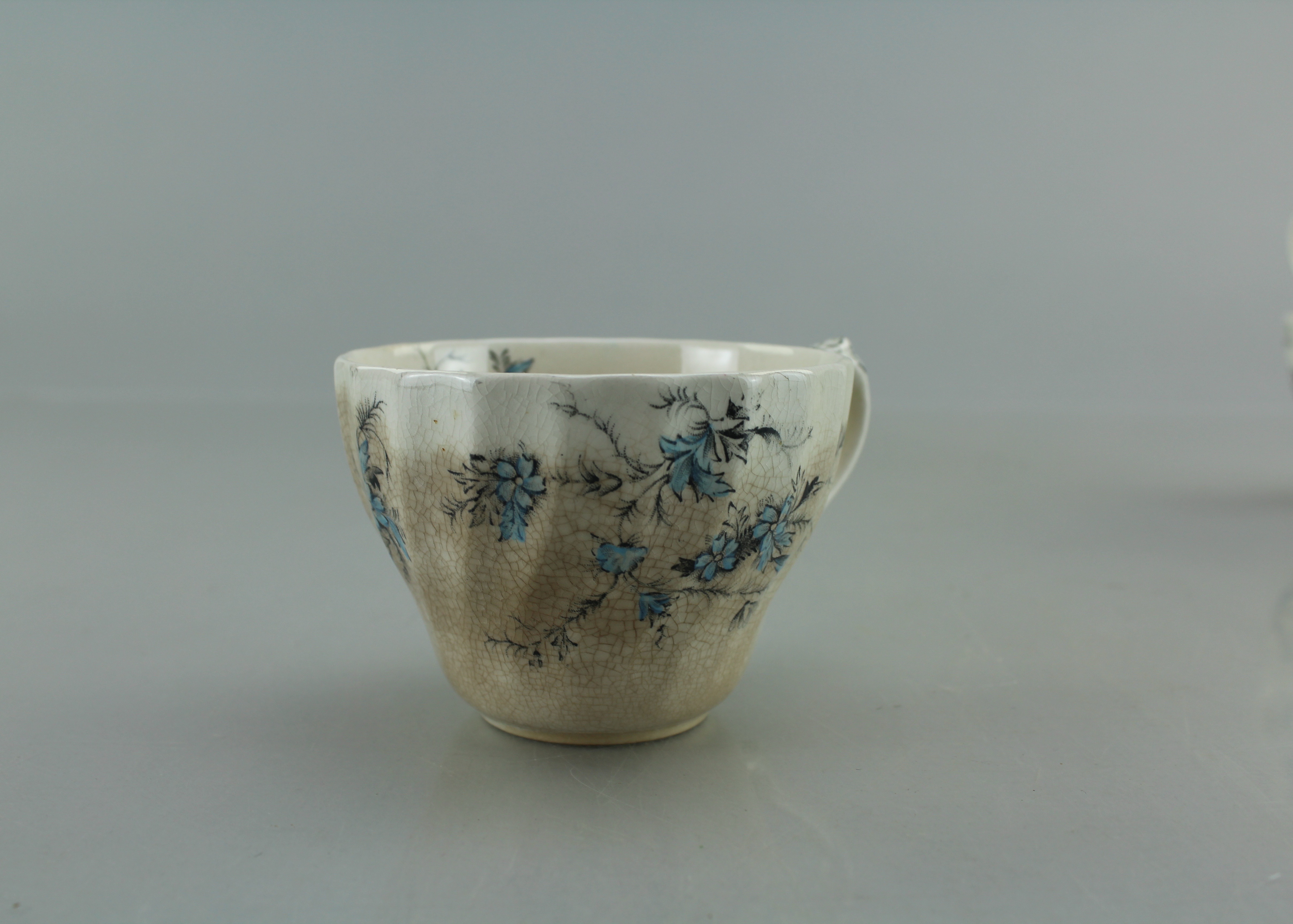 Myott Staffordshire Ware "Forget Me Not" China Set