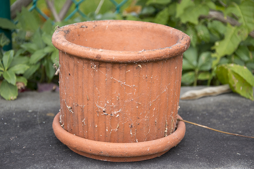 Bennington Pottery Collection