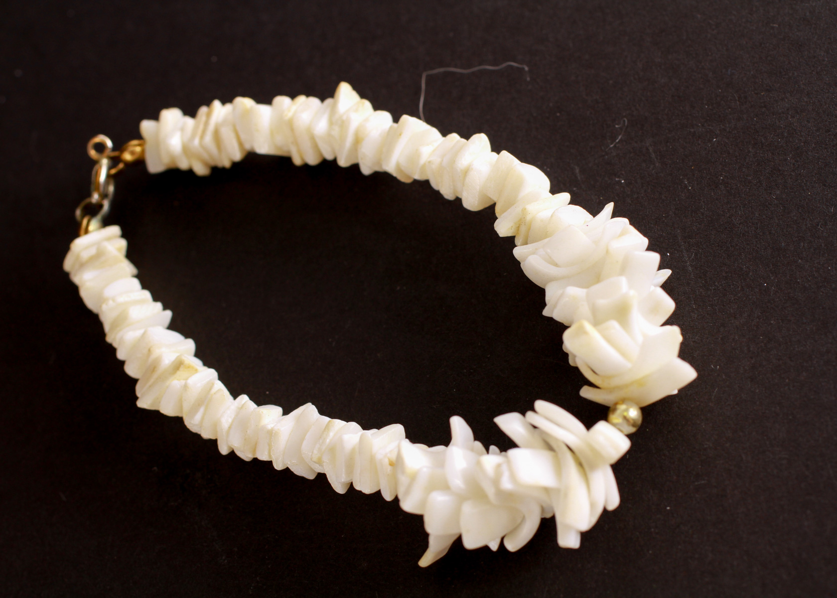 Group of Conch Shell Style Accessories