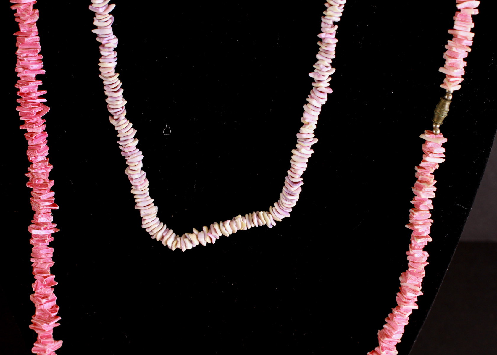 Group of Conch Shell Style Accessories