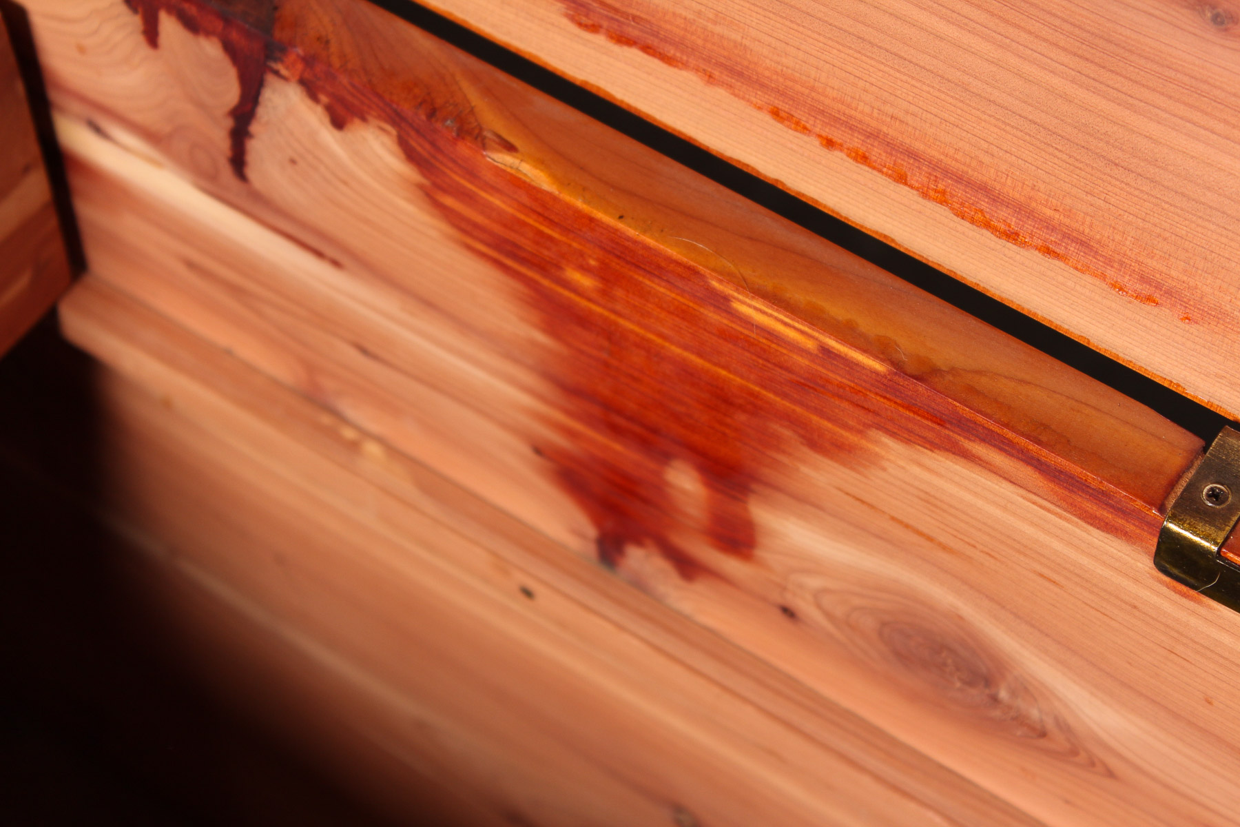 Amish Handmade Cedar Chest