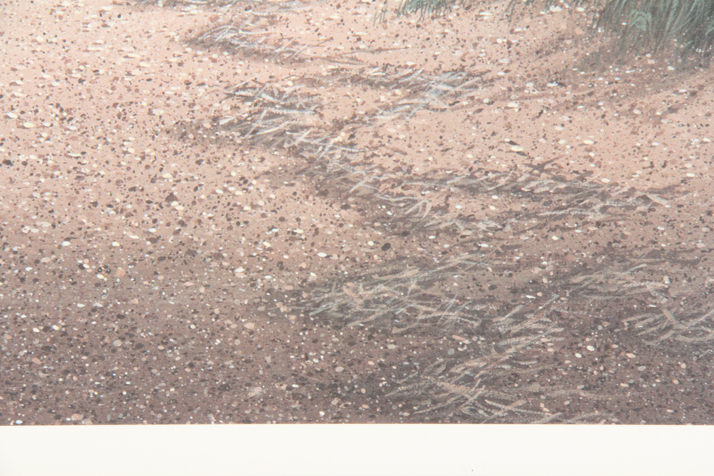 Limited Edition Larry B. Burge Offset Lithograph