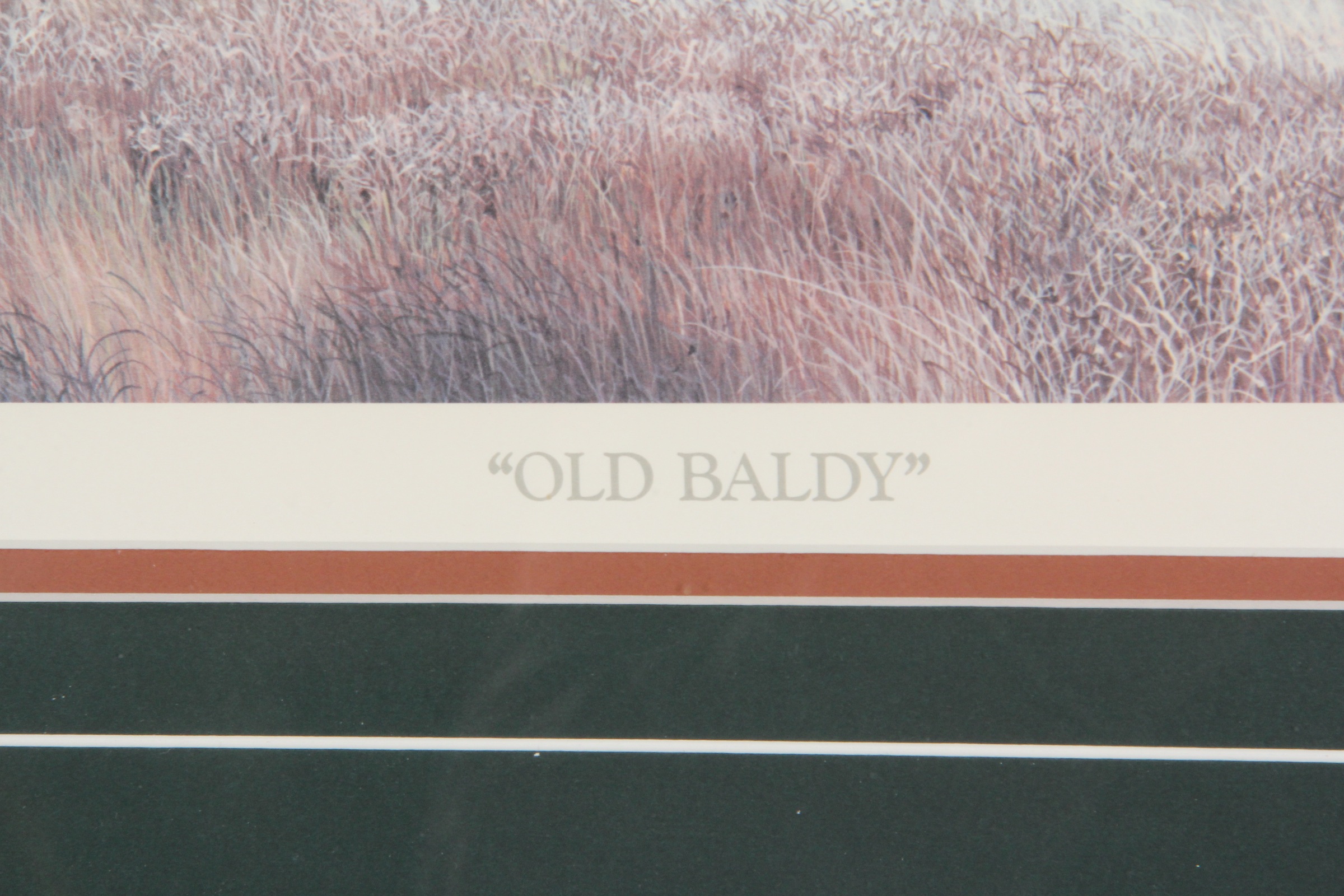 Limited Edition Alan Cheek Lighthouse Print