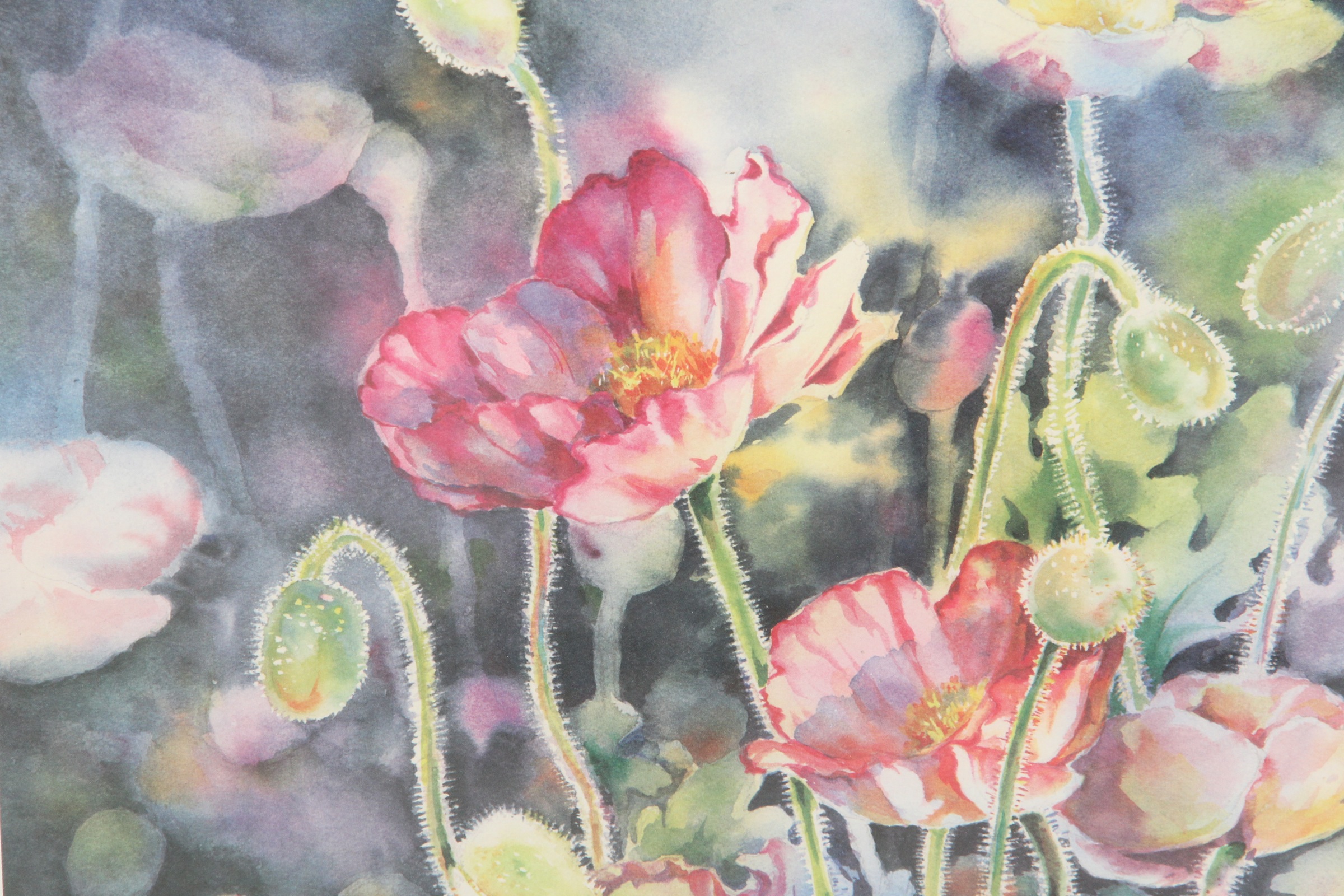 Sally Bly Poppy Offset Lithograph