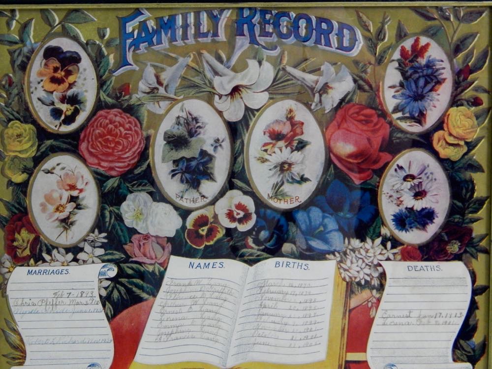 Antique Photos, Frames and Family Tree