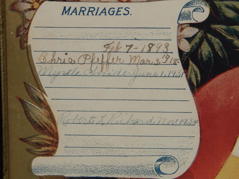 Antique Photos, Frames and Family Tree