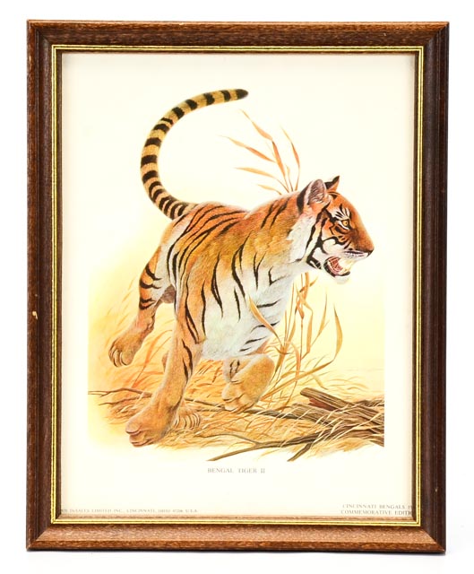 1970 Bengals Framed Macot Print & '68 Glass