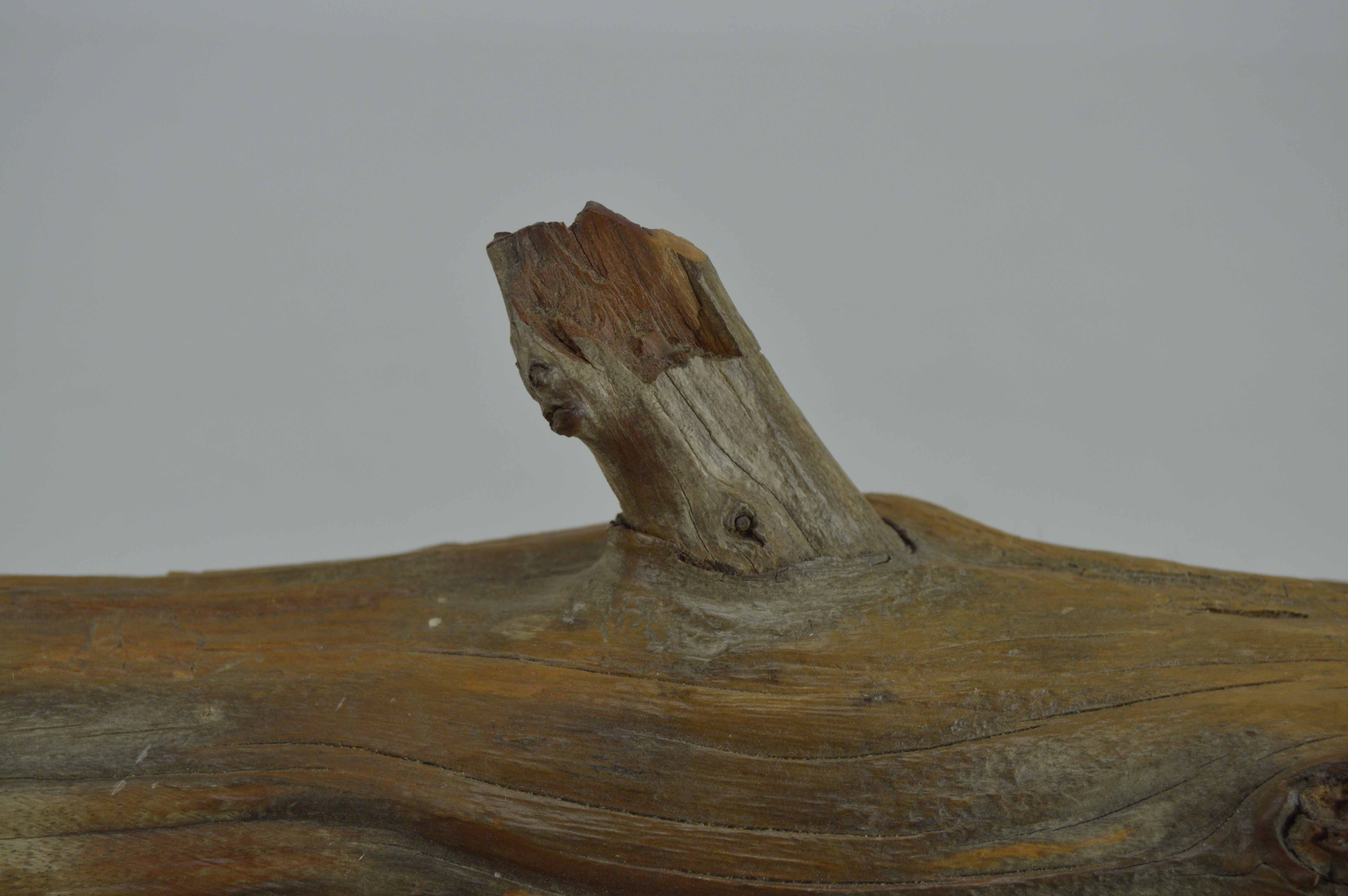 Unique Carved Tree Limb Two Drawer Jewelry Box