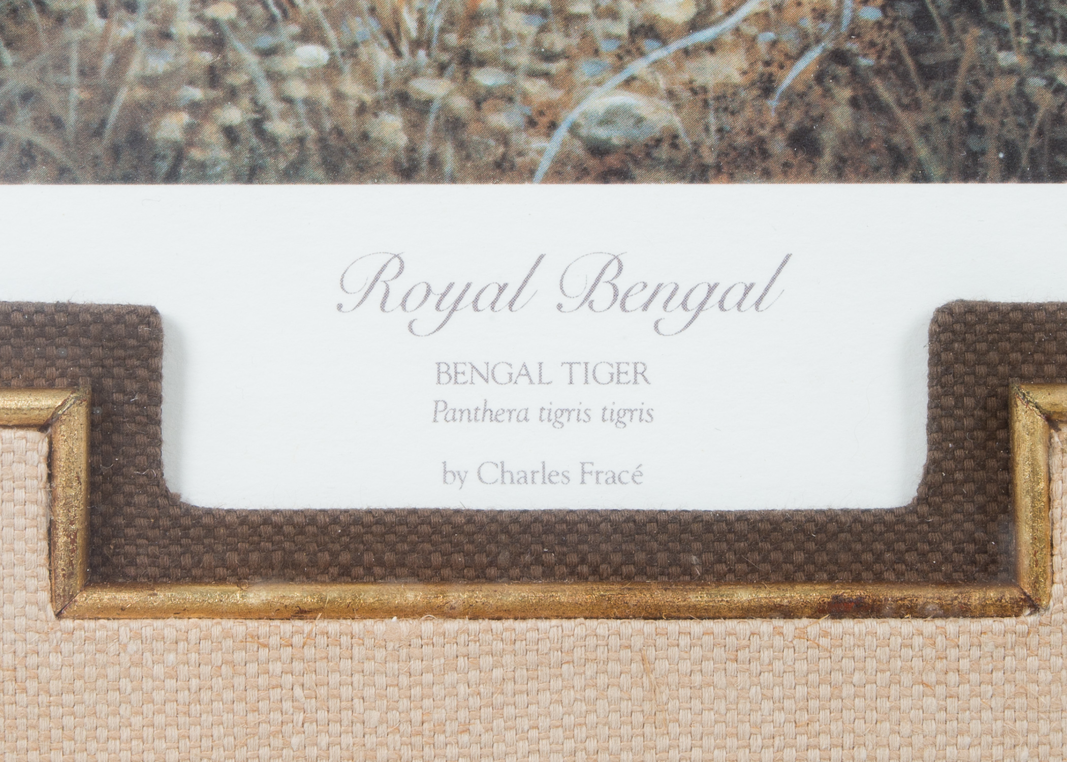 Pair of Signed Charles Frace Lithographs