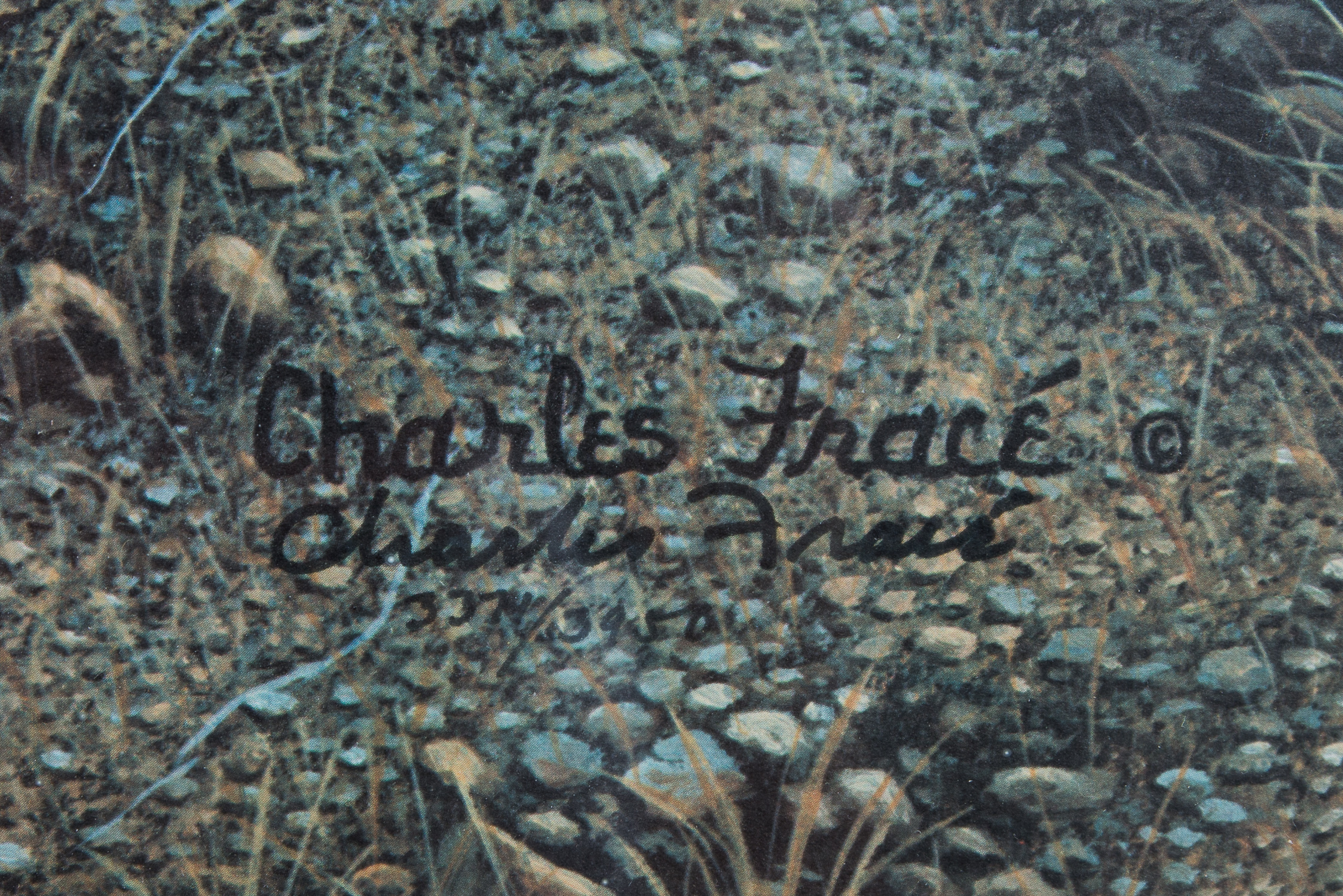 Pair of Signed Charles Frace Lithographs