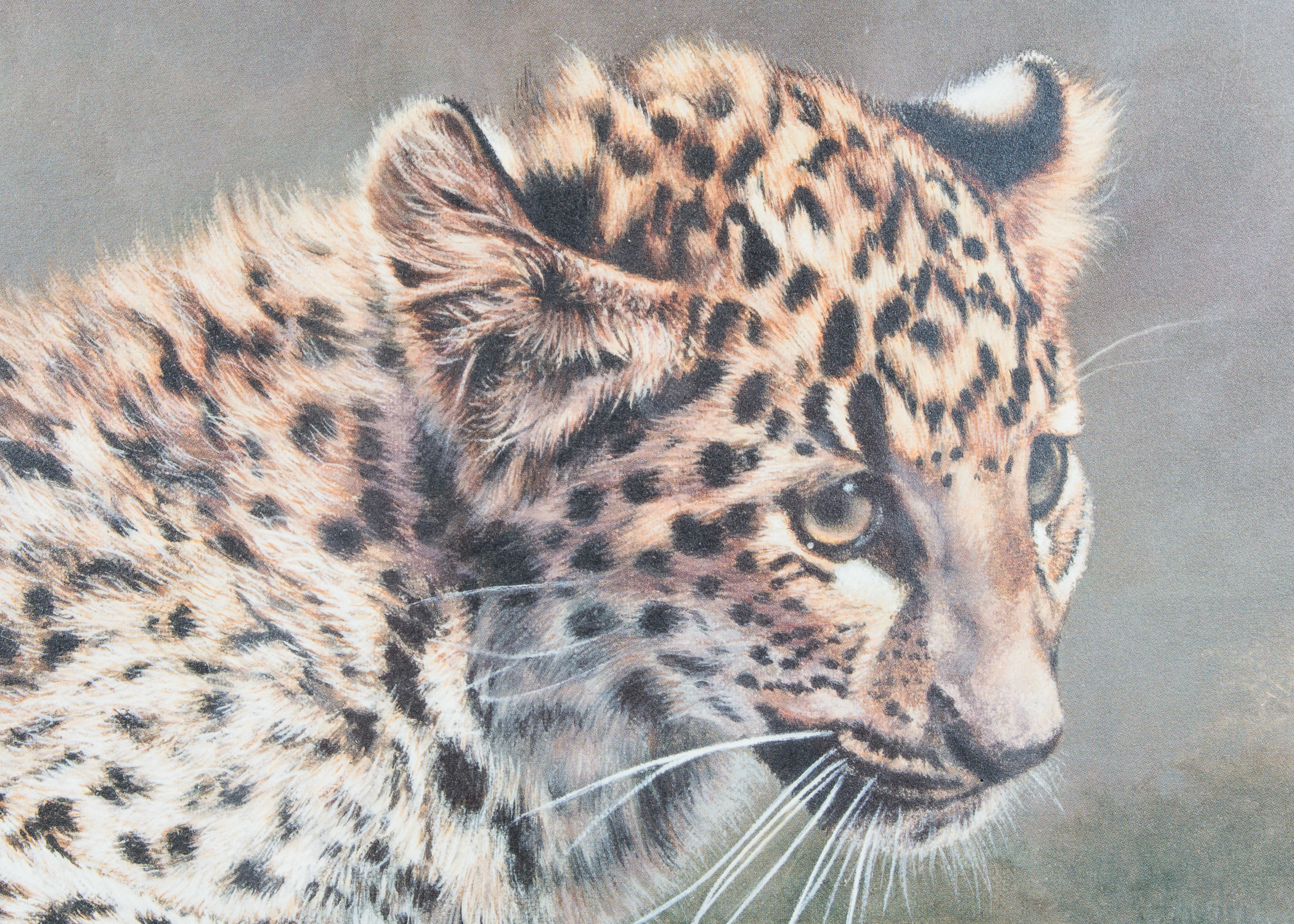 Pair of Signed Charles Frace Lithographs