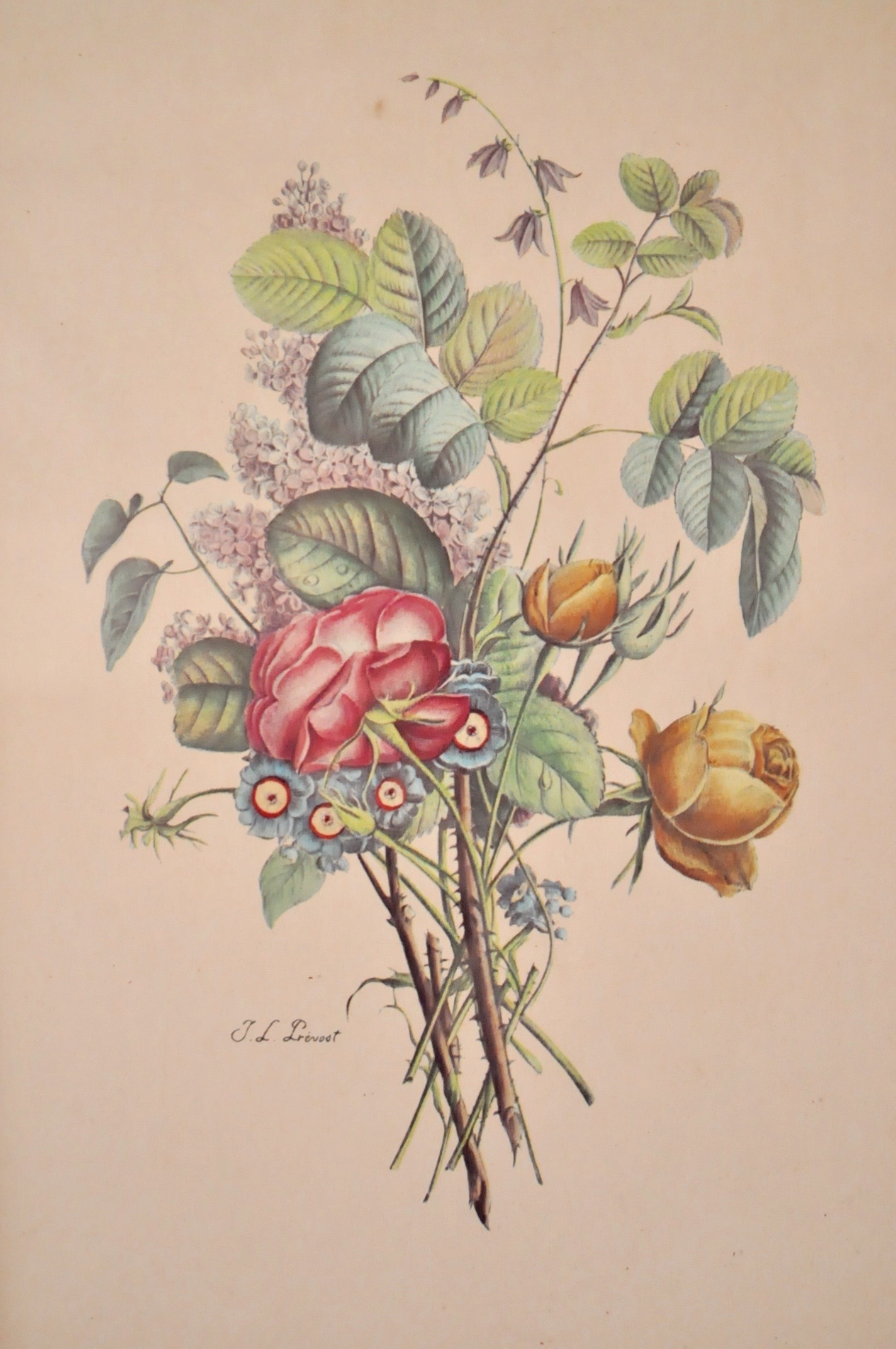 Four Vintage Floral Framed Lithographs