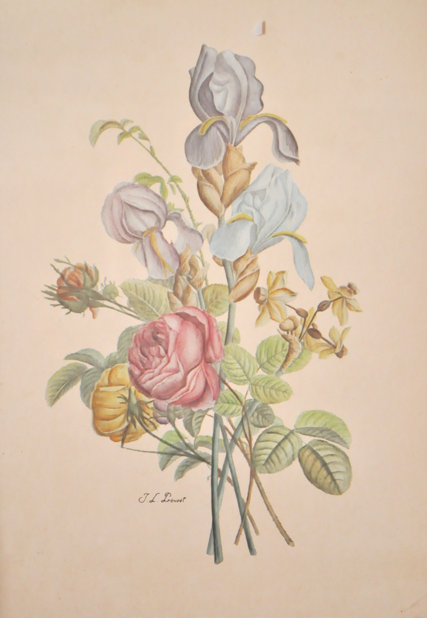 Four Vintage Floral Framed Lithographs