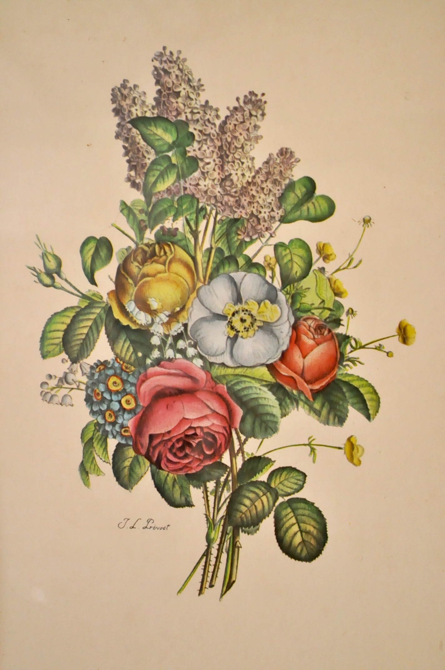 Four Vintage Floral Framed Lithographs