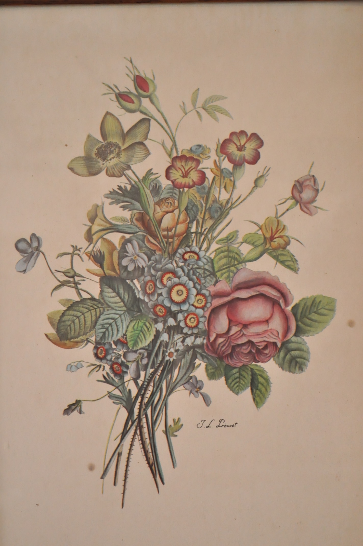 Four Vintage Floral Framed Lithographs