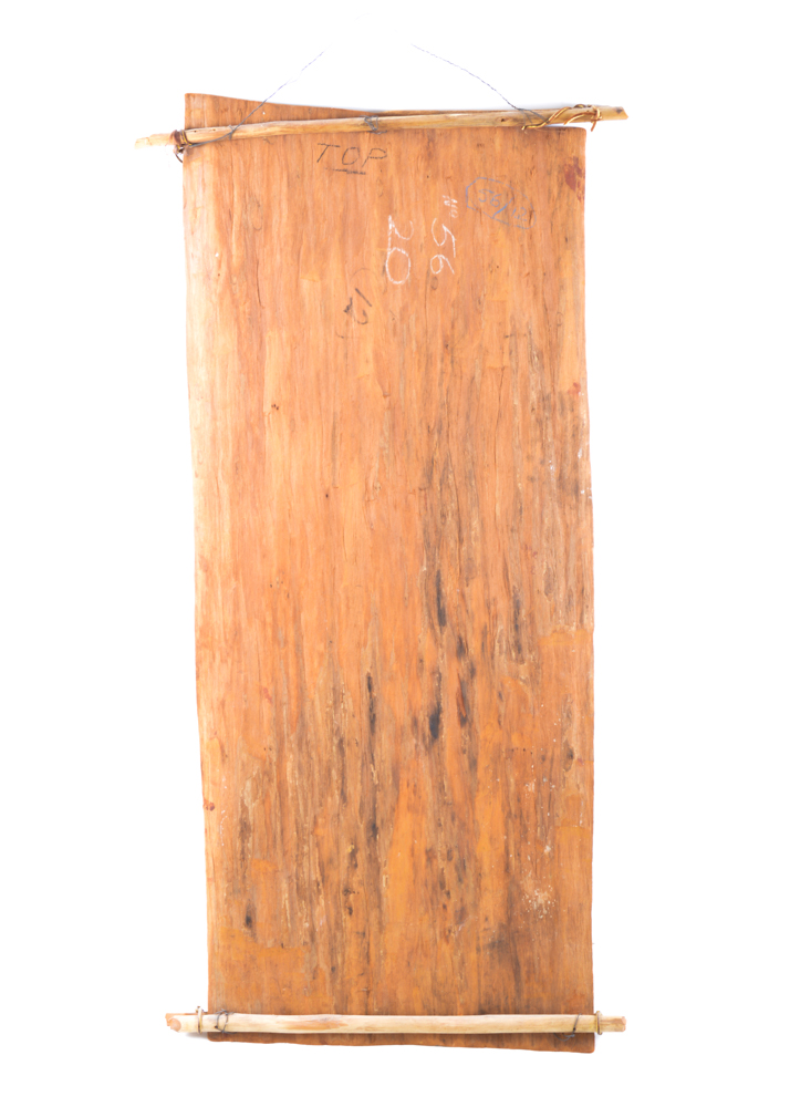 Aboriginal Bark Painting